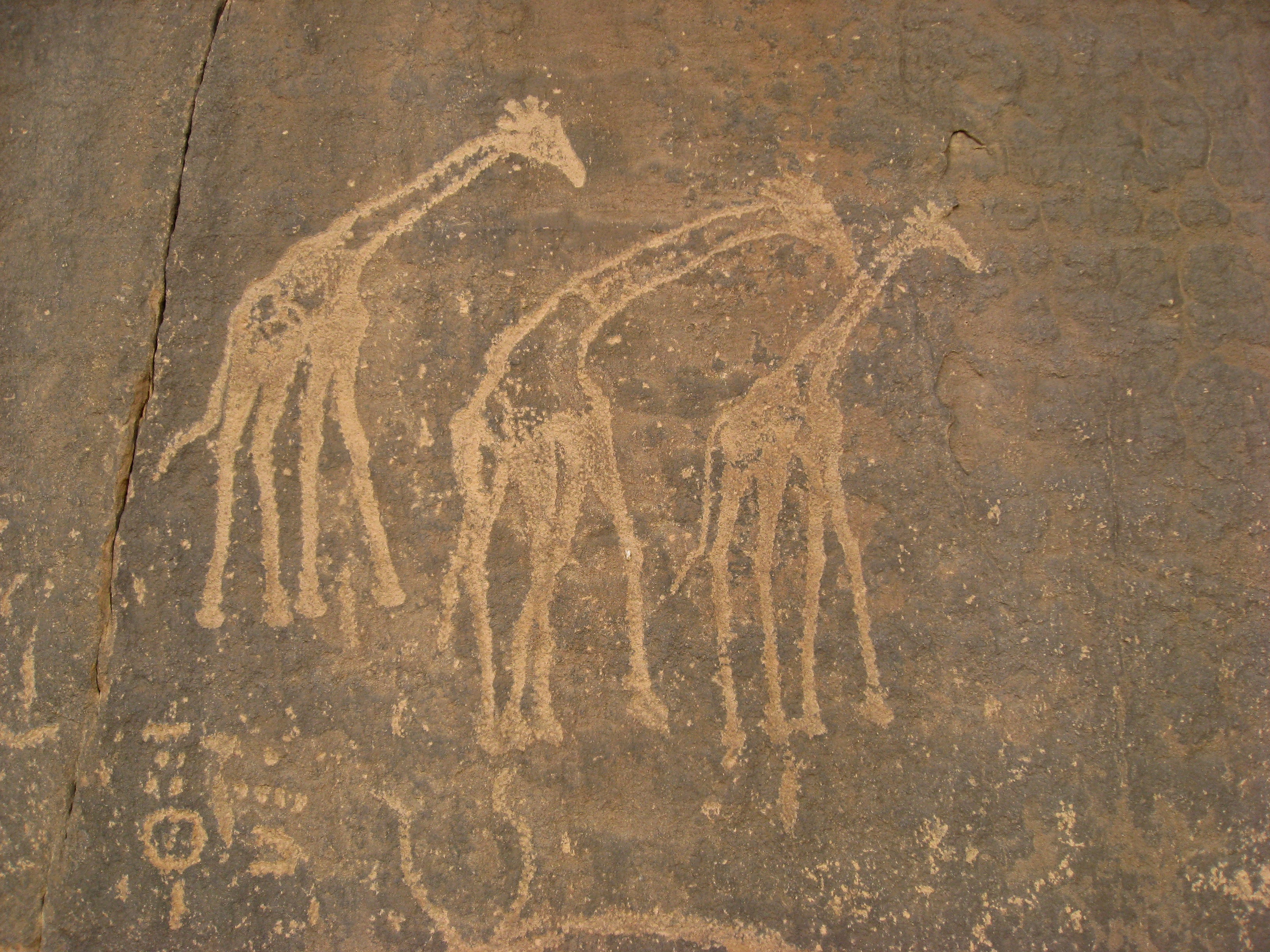ancient civilization, close-up, ancient writing, giraffes, old, full frame, text, communication, wall - building feature, creativity, art and craft, outdoors, HD Wallpaper