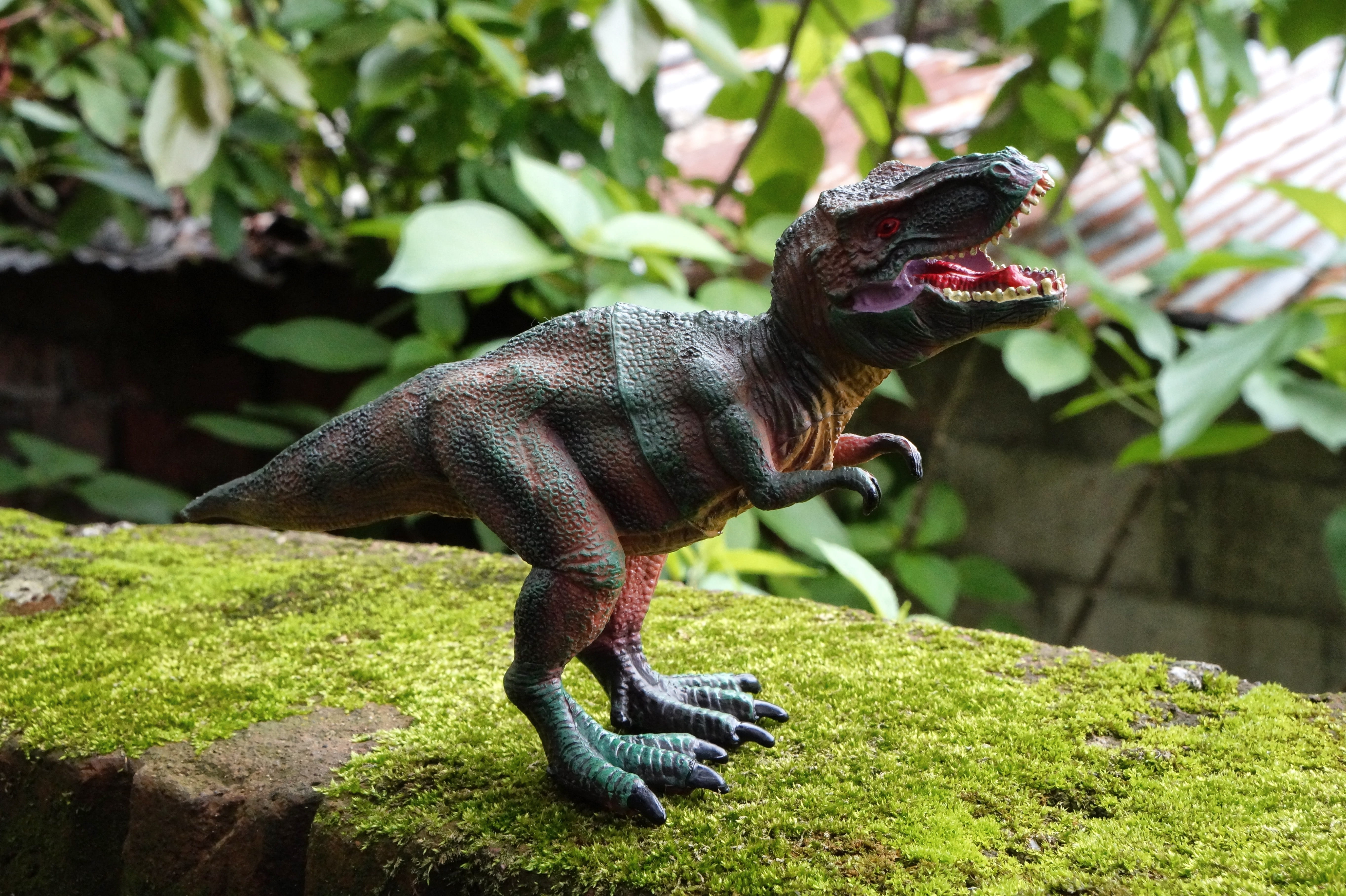 animal representation, green color, rex, dinosaur, day, dinosaurs, animal themes, cretaceous, mammal, no people, one animal, tyrannosaurus, Prehistory, HD Wallpaper