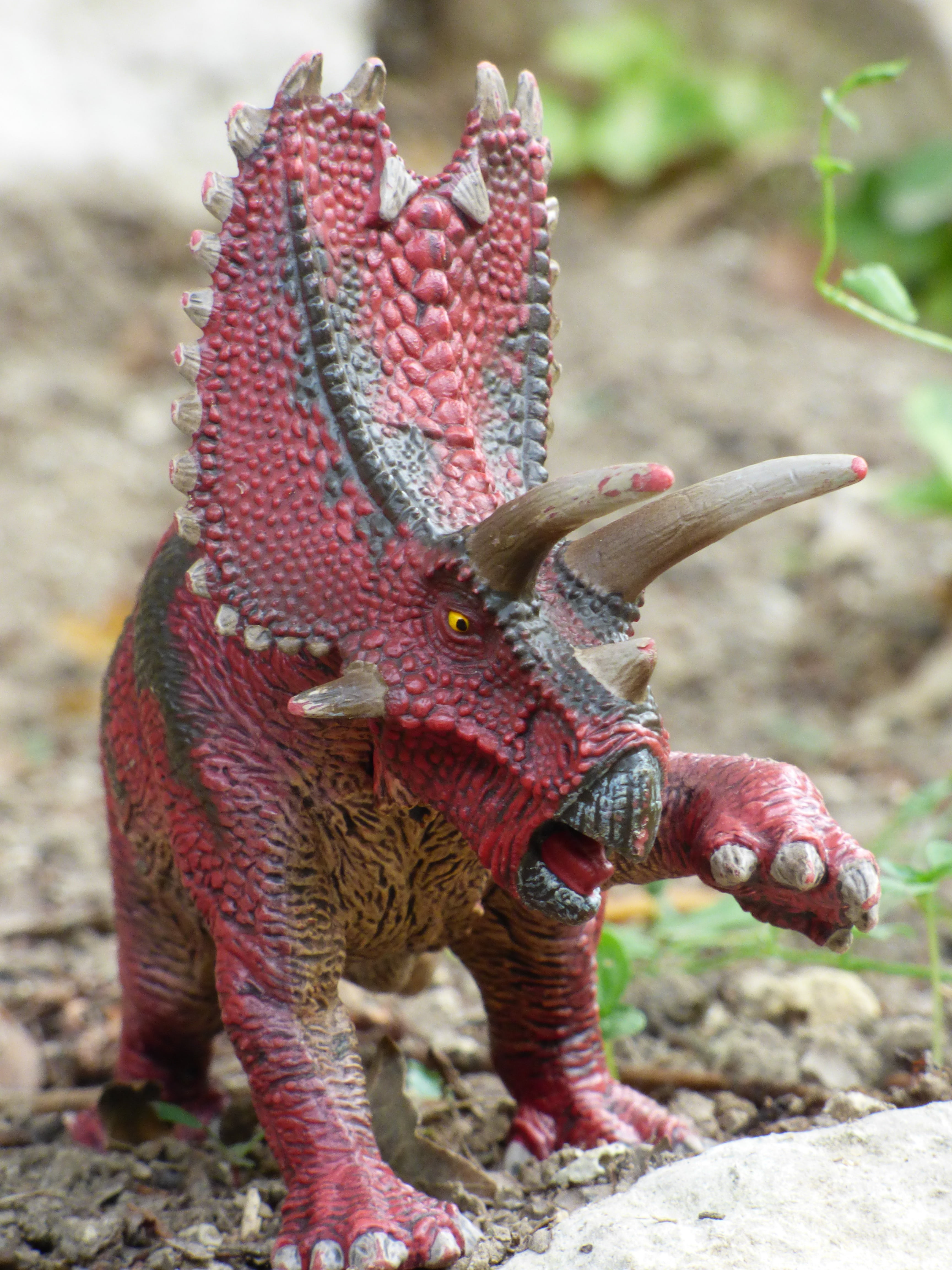 creativity, day, animals in the wild, land, solid, vertebrate, pentaceratops, nature, art and craft, figurine, one animal, toy, animal, 4K, red, animal wildlife, Phone HD Wallpaper