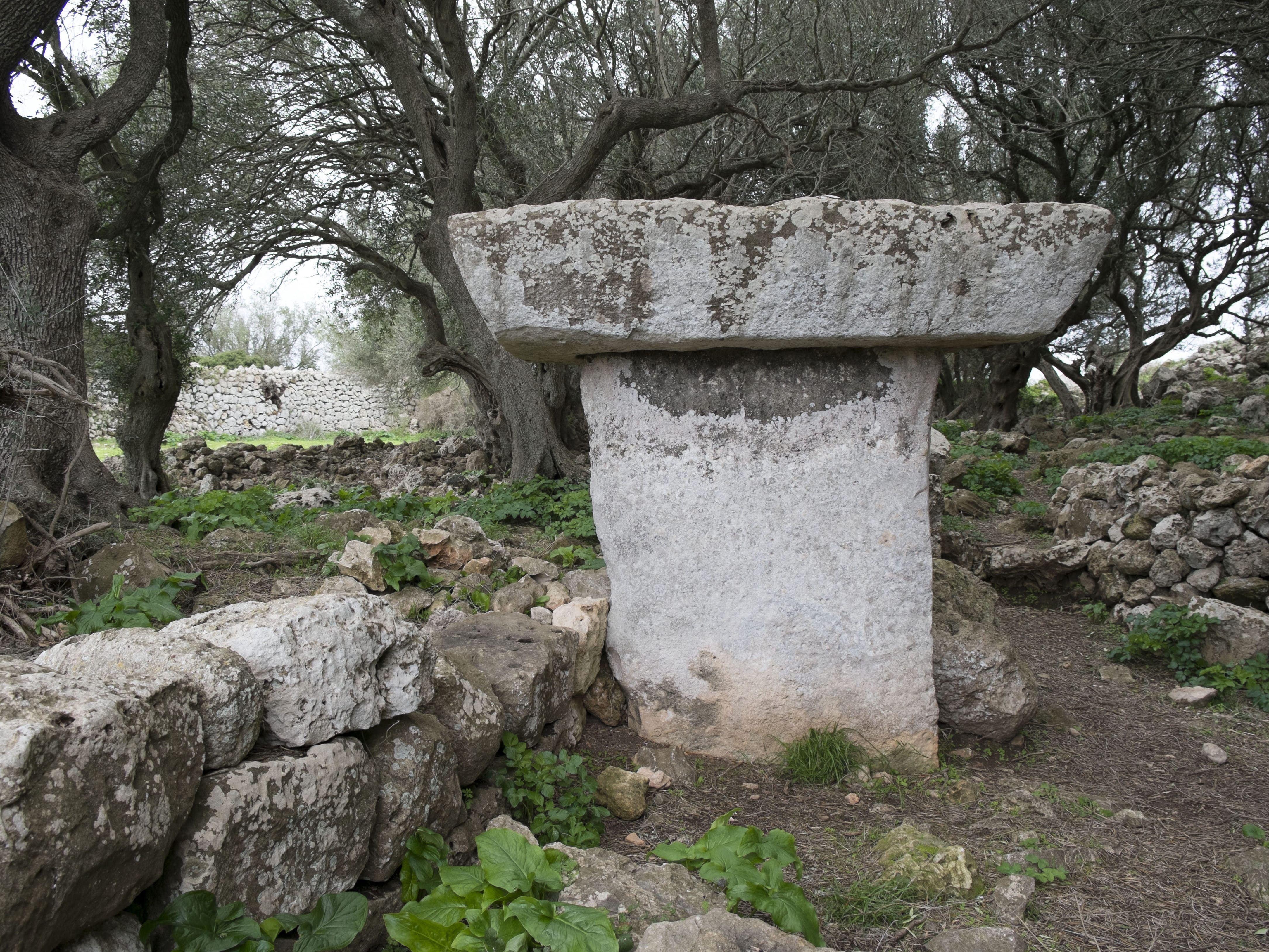 no people, memorial, built structure, wall, stone wall, day, Ciutadella, architecture, cemetery, Minorca, land, 4K, outdoors, tombstone, Talaiot, tree, HD Wallpaper