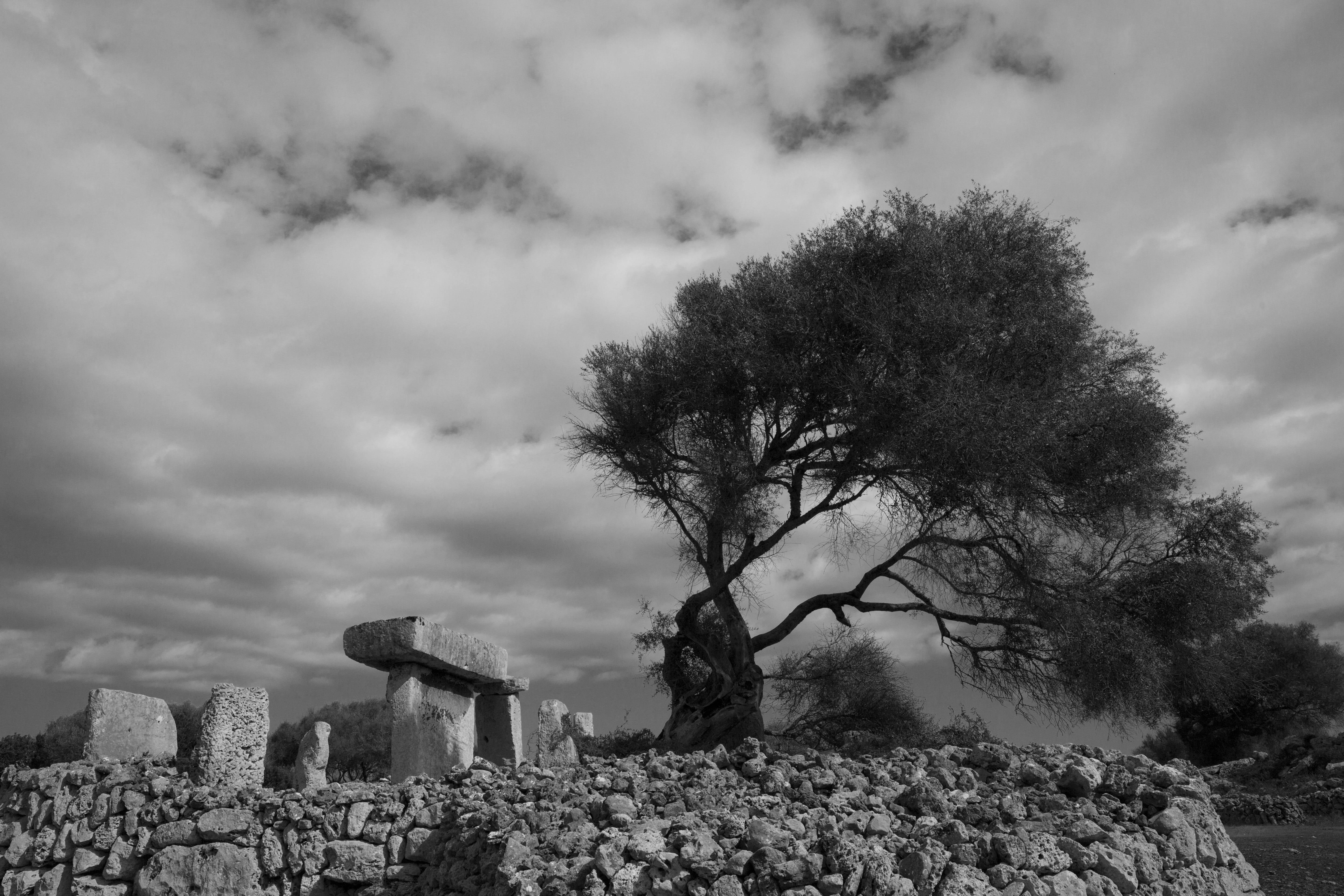 plant, tranquility, rock, nature, minorca, travel destinations, sky, cloud - sky, solid, ancient civilization, the past, remains, tree, taula, 5K, memorial, HD Wallpaper