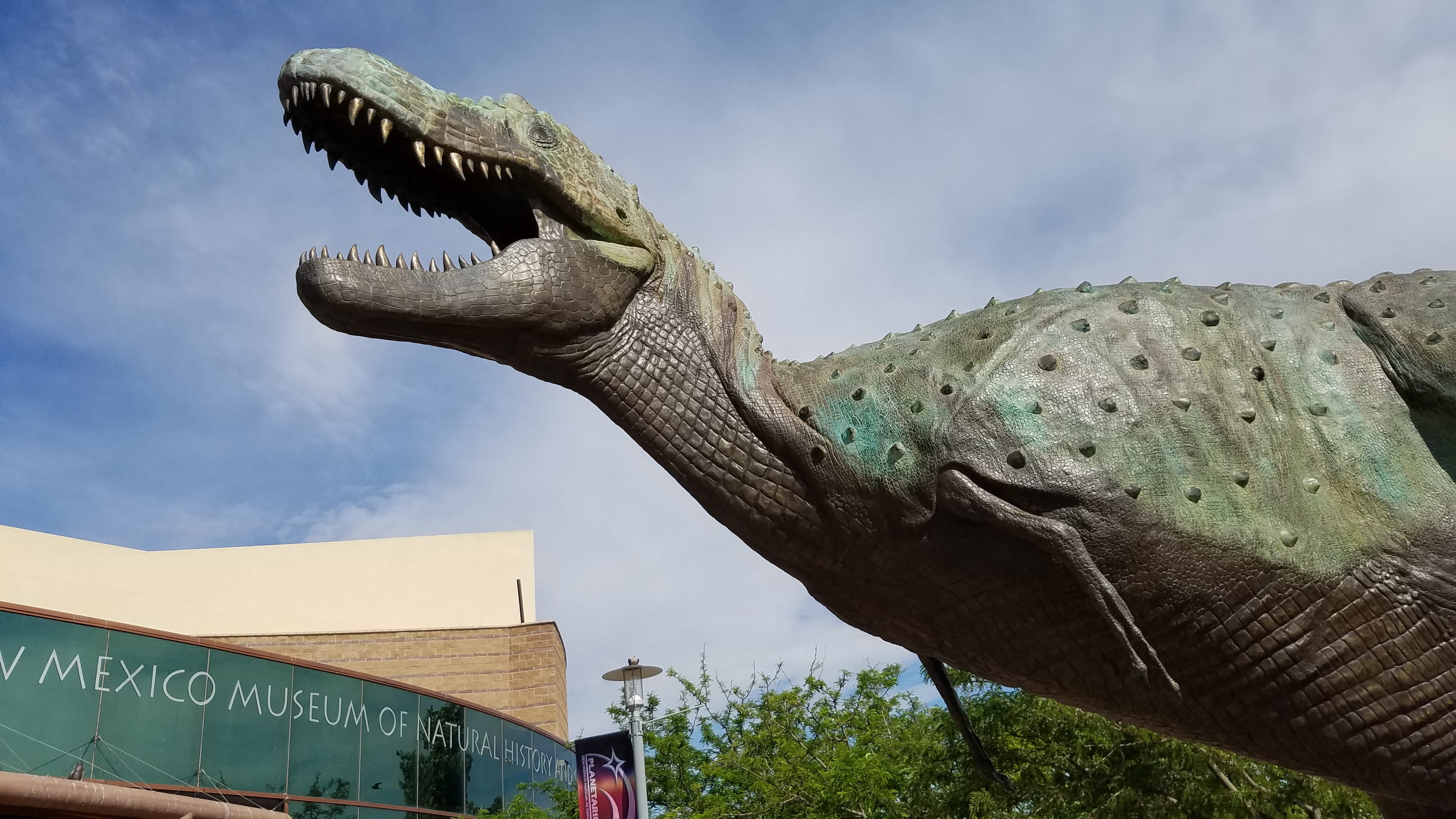 New, tree, prehistoric, reptile, new, jurassic, Museum, nature, cloud - sky, sign, animal, prehistory, sky, communication, low angle view, beast, mouth open, HD Wallpaper