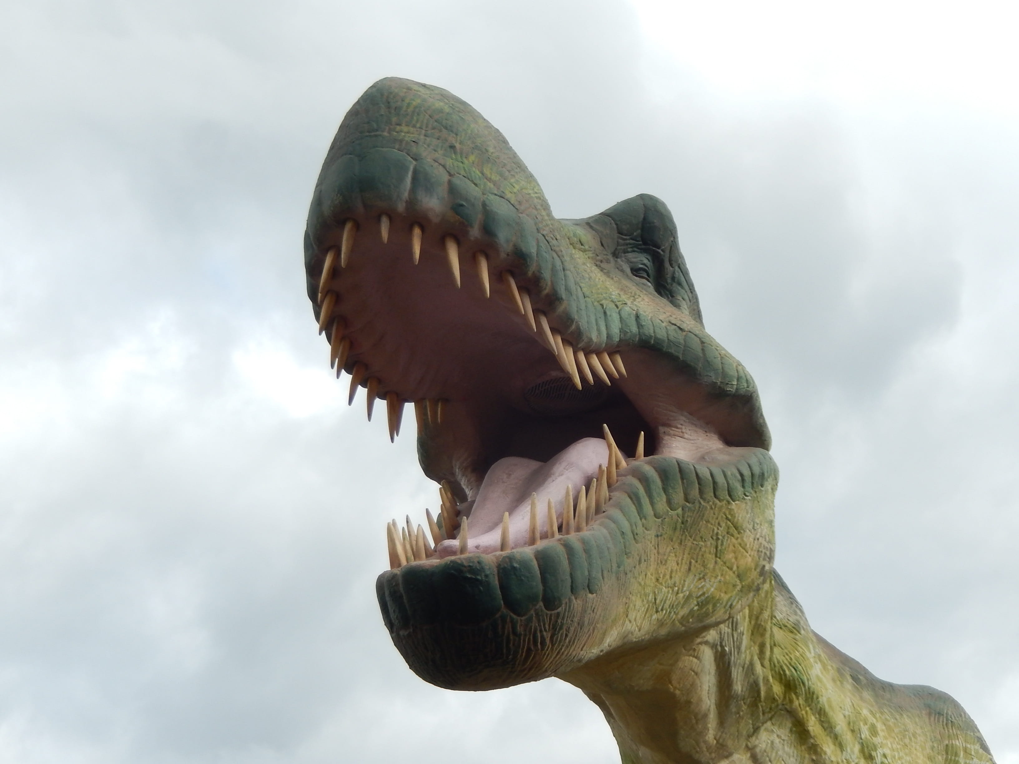 art and craft, no people, statue, animal head, low angle view, animal representation, extinct, creativity, outdoors, craft, history, day, nature, animal teeth, HD Wallpaper