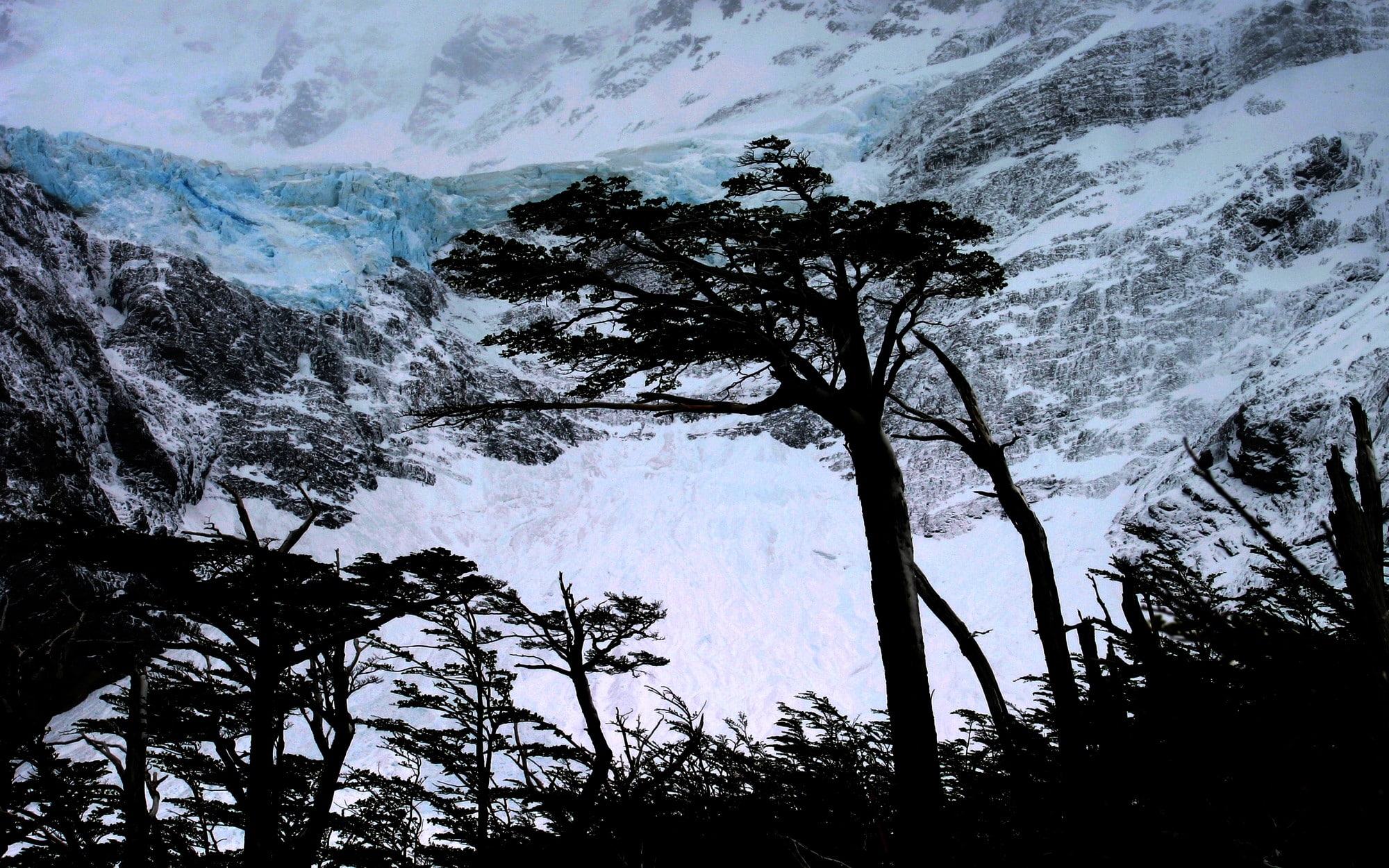 land, nature, tranquility, plant, low angle view, tranquil scene, glaciers, tree, mountain, landscape, 1080P, no people, day, Torres del Paine, winter, HD Wallpaper