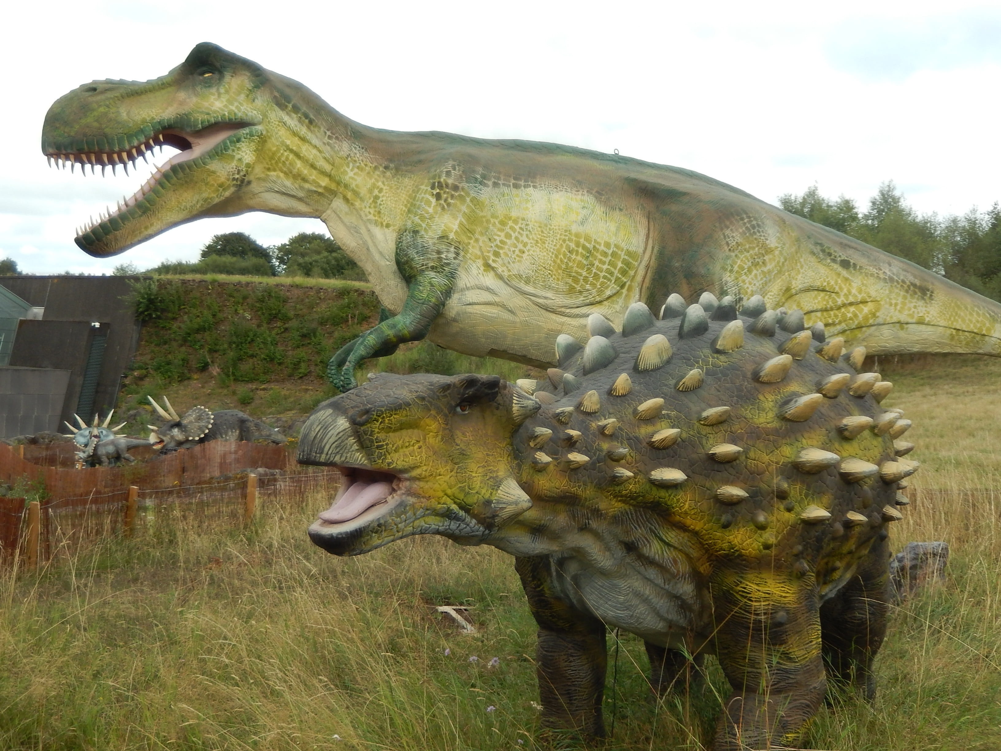 mouth open, no people, animal mouth, sculpture, caves, field, animal body part, dinosaur, plant, green color, animal, day, vulcania park, 2K, animal representation, HD Wallpaper