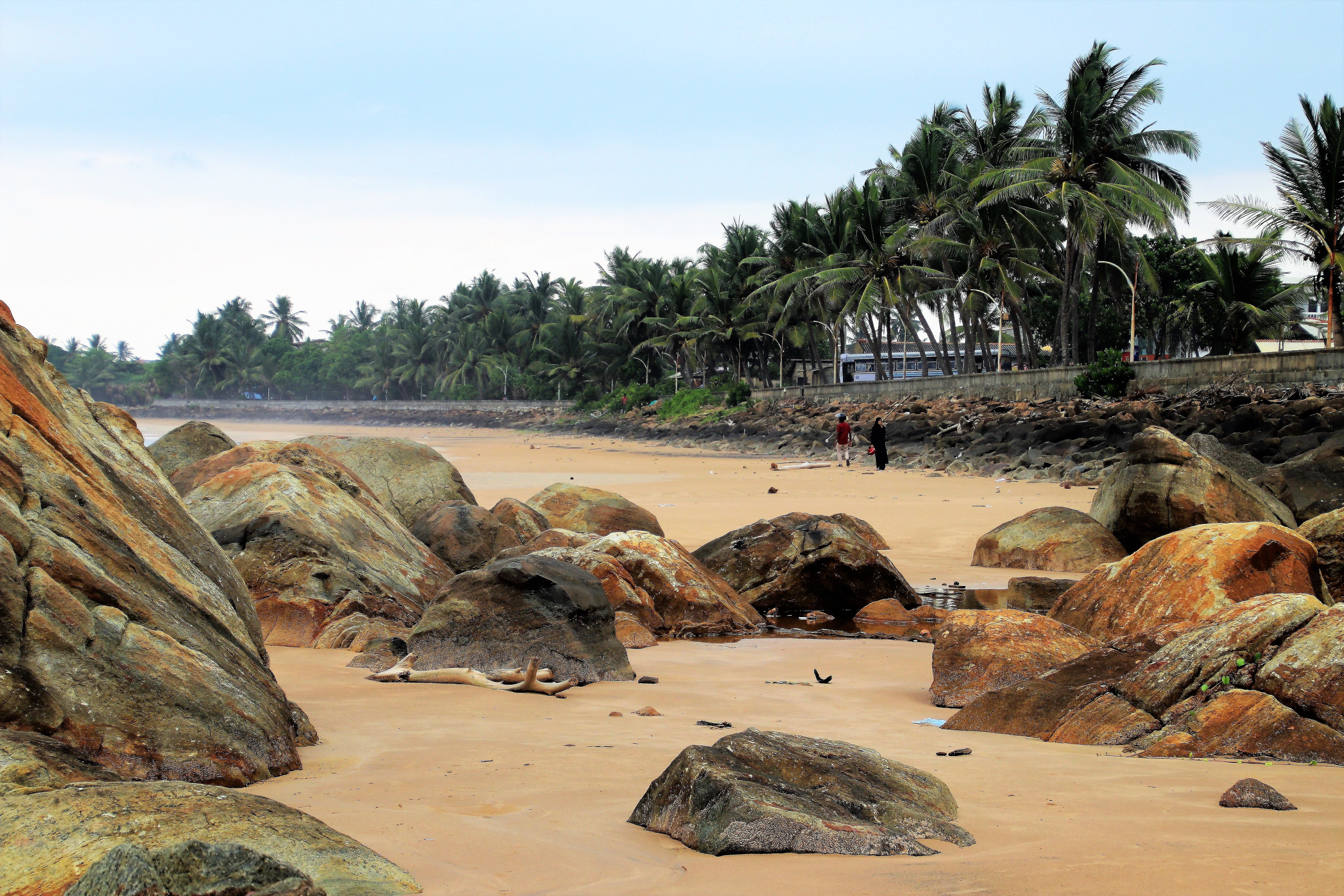scenery, water, rocks, plant, tour, relax, rest, 5K, exotica, sand, sandy beach, palm trees, holidays, tourism, day, growth, wind, rock, view, land, travel, HD Wallpaper