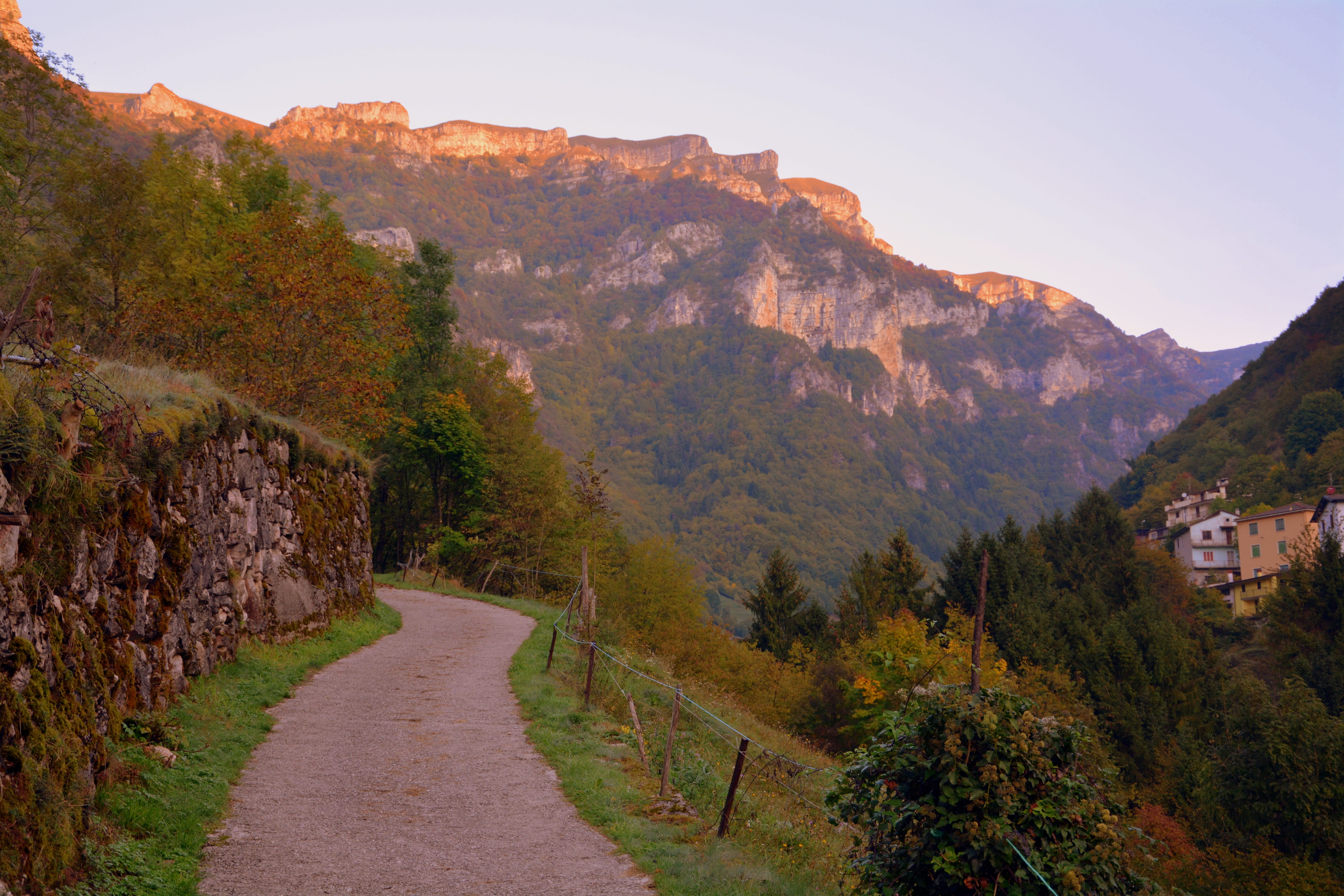 trail, tree, scenics - nature, sky, 5K, outdoors, transportation, beauty in nature, e5, lessinia, landscape, mountain, land, the european path, italy, HD Wallpaper