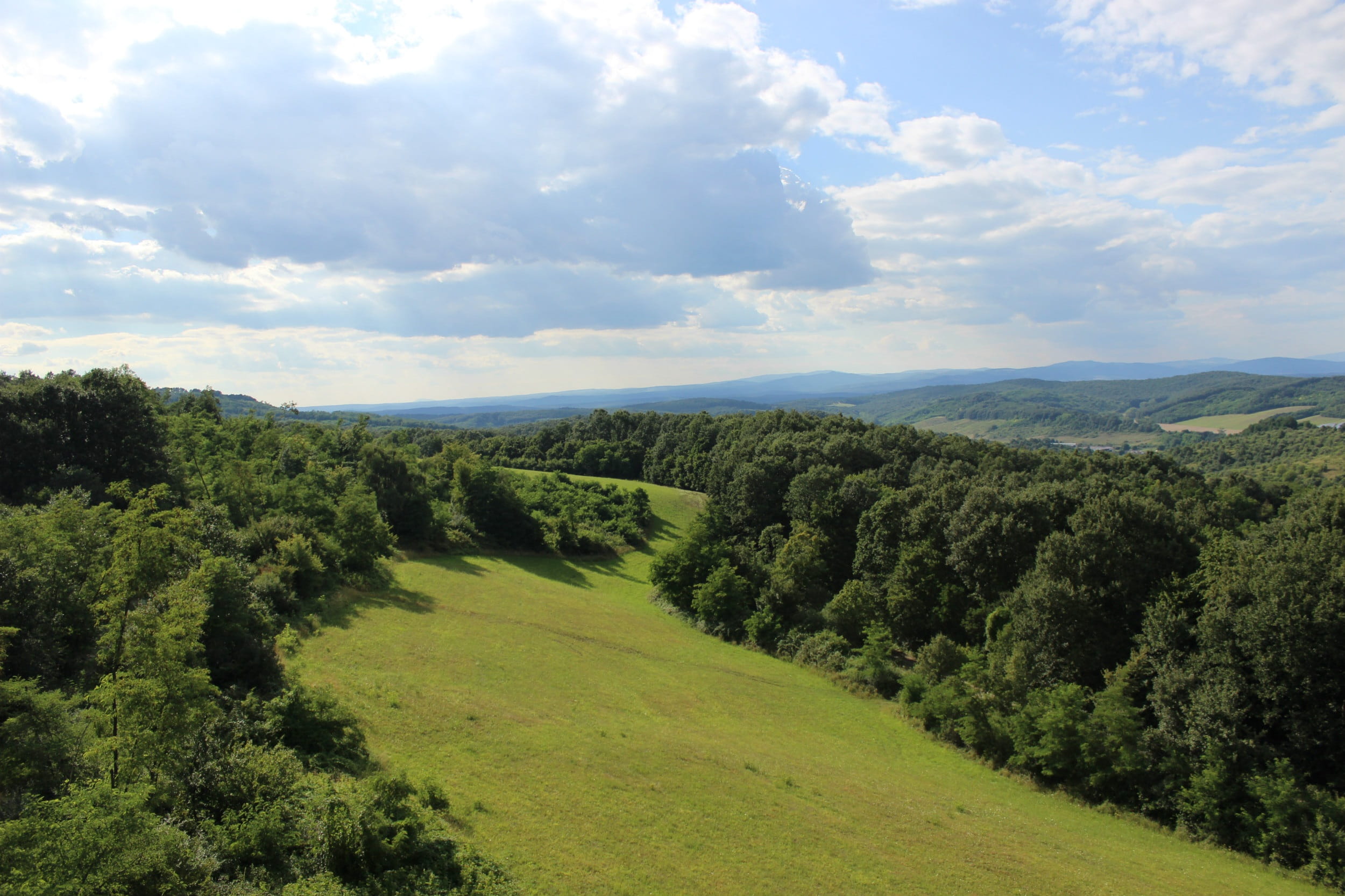 tranquility, sky, growth, plant, landscape, tranquil scene, cloud - sky, beauty in nature, hills, cloud, nature, sunshine, hungary, day, wood, hill, 1080P, HD Wallpaper