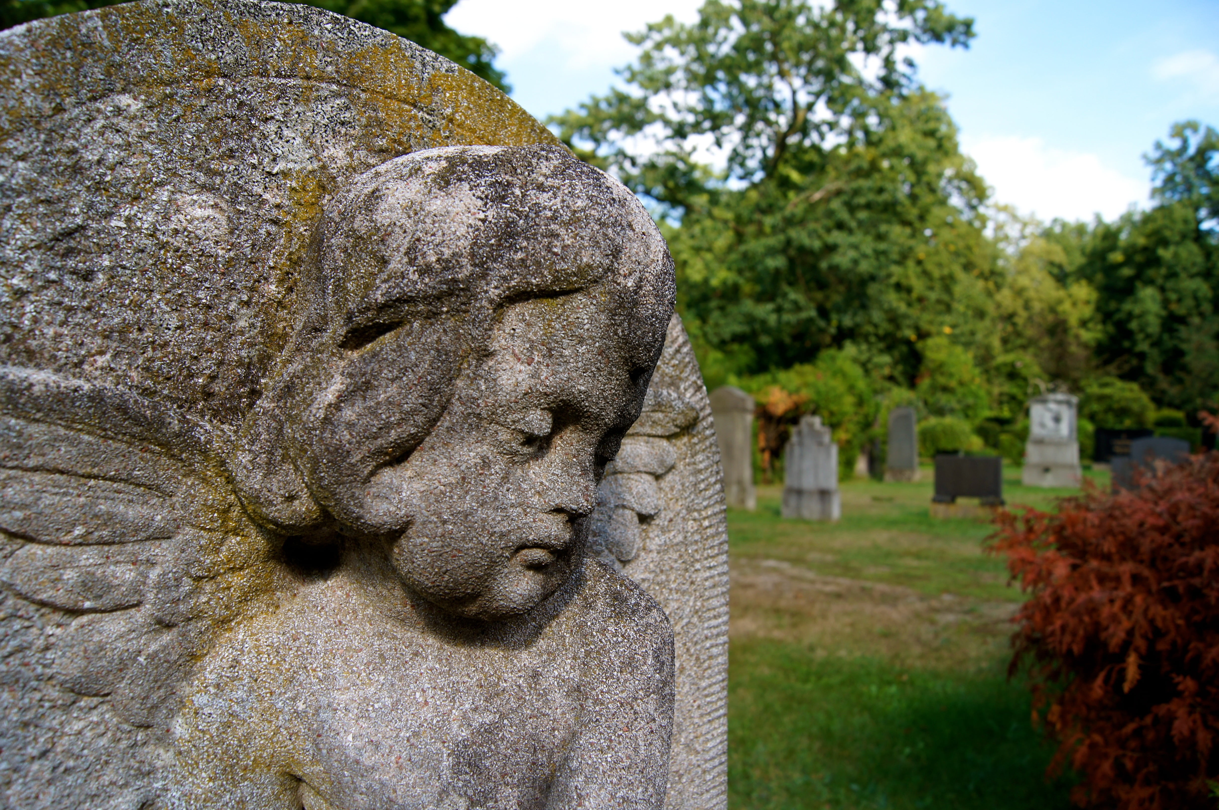 relief, close-up, face, historically, mourning, sculpture, sad, view, cemetery, history, mid, near, male likeness, mood, representation, focus on foreground, HD Wallpaper