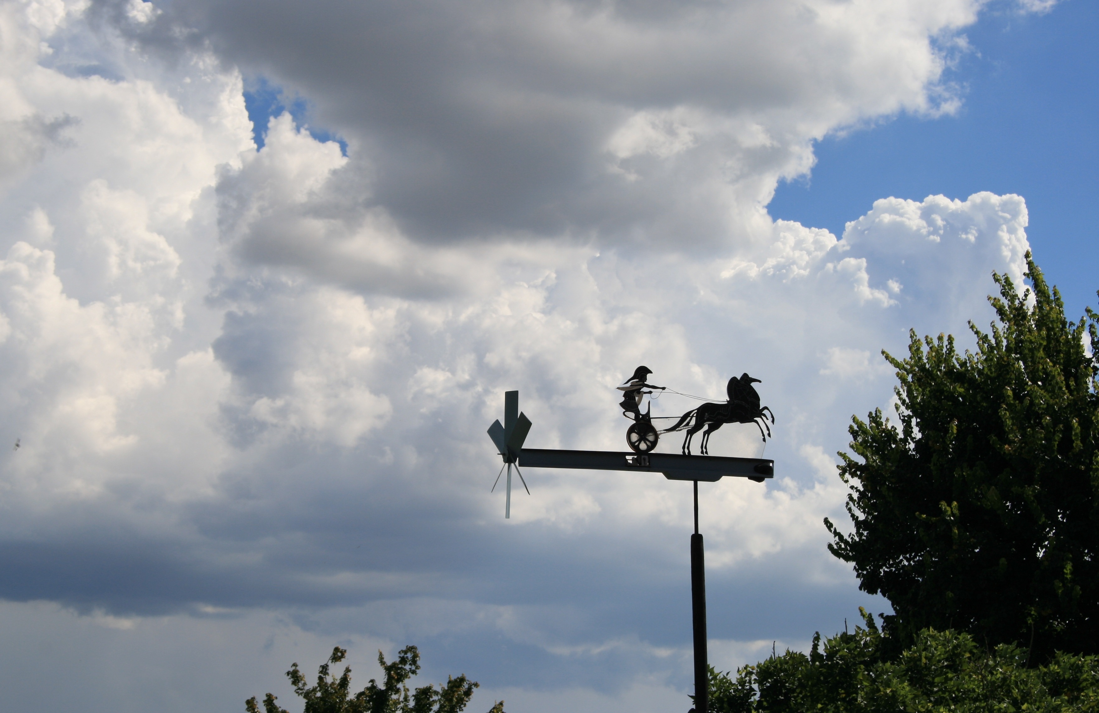 tree, horse drawn war chariot, cloud - sky, day, weathervane, propeller, weather vane, wind direction indicator, plant, low angle view, outdoors, communication, HD Wallpaper