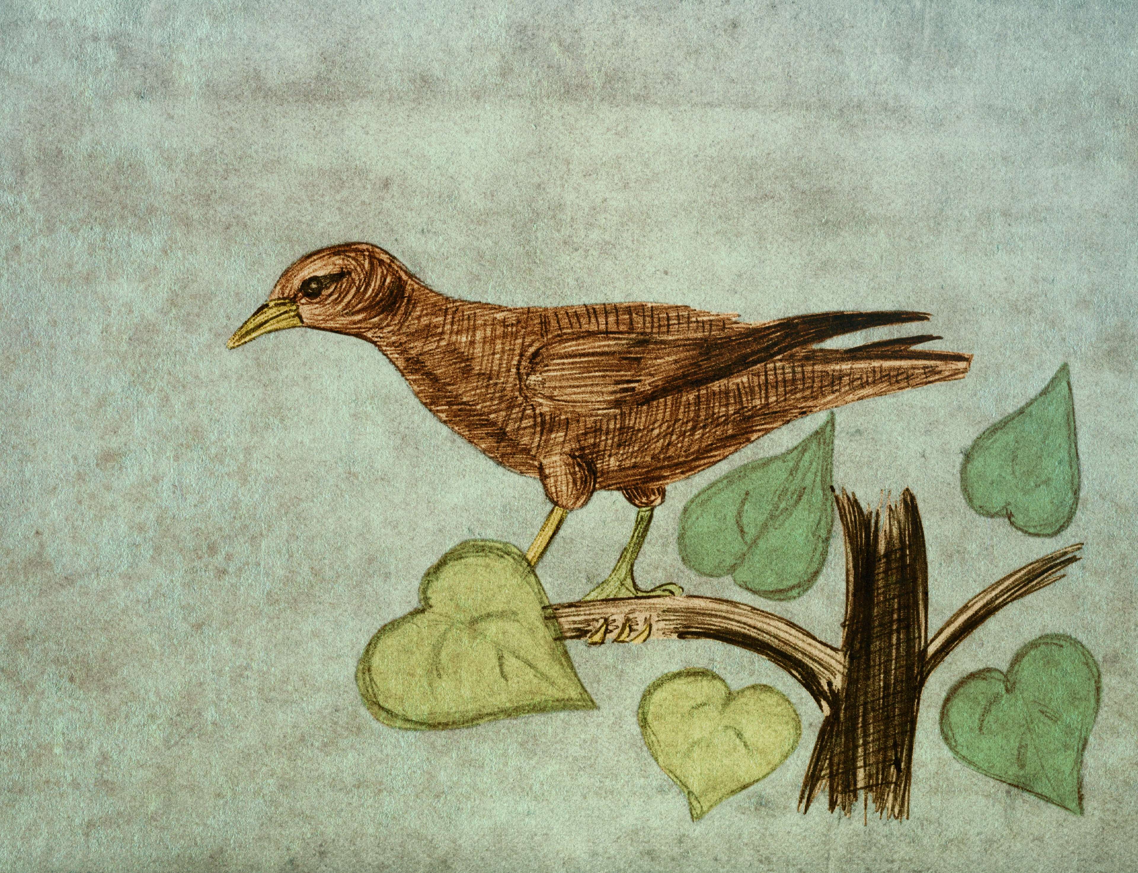card, decor, drawn, nature, 4K, decoration, artwork, cardboard, painted, chick, engraved image, dirty, indoors, hand, handwork, art, vertebrate, artistic, HD Wallpaper