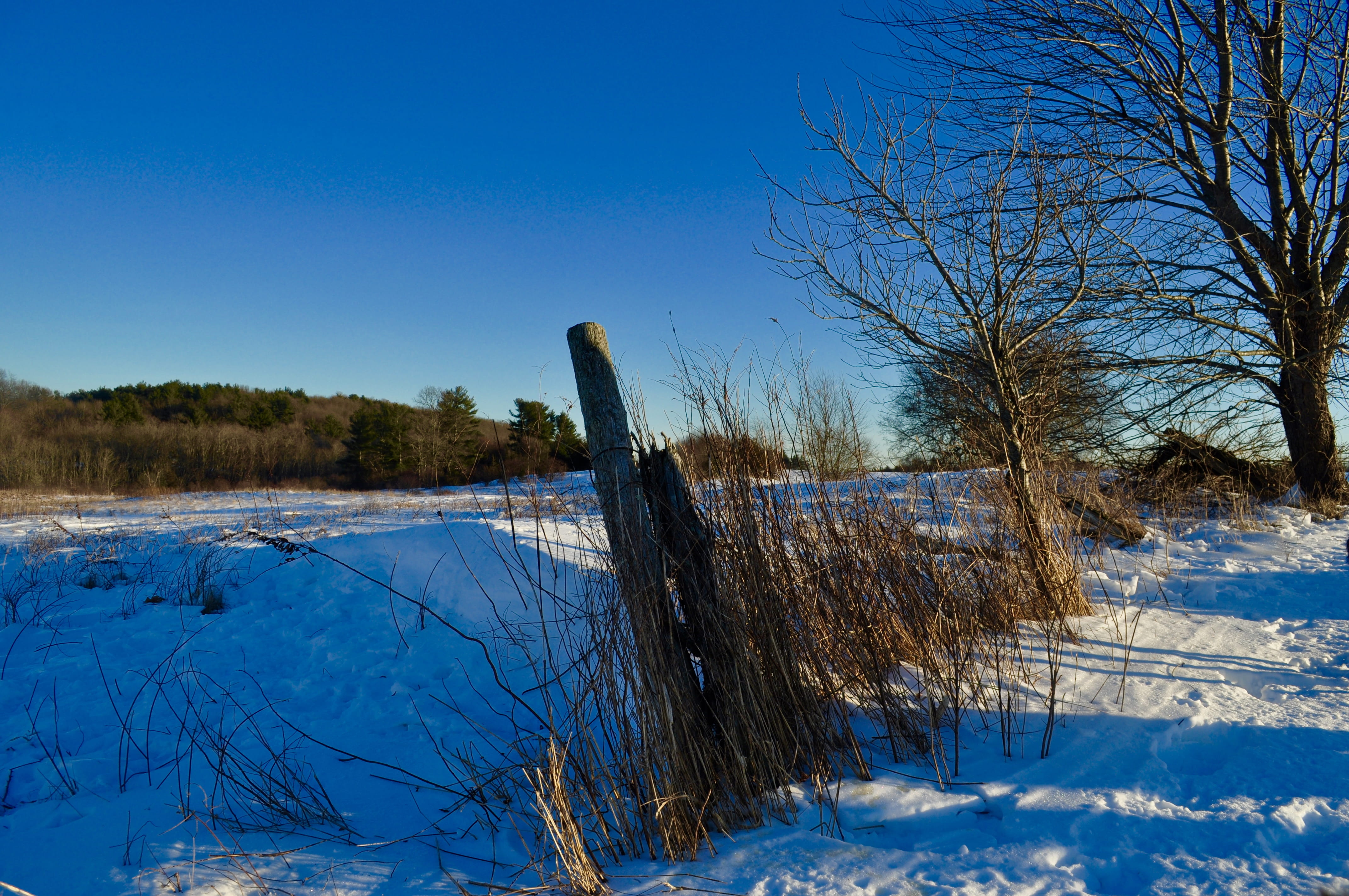 blue, beauty in nature, clear sky, field, farm, post, ruins, plant, covering, cold temperature, sky, land, tranquility, 4K, trees, non-urban scene, outdoors, HD Wallpaper