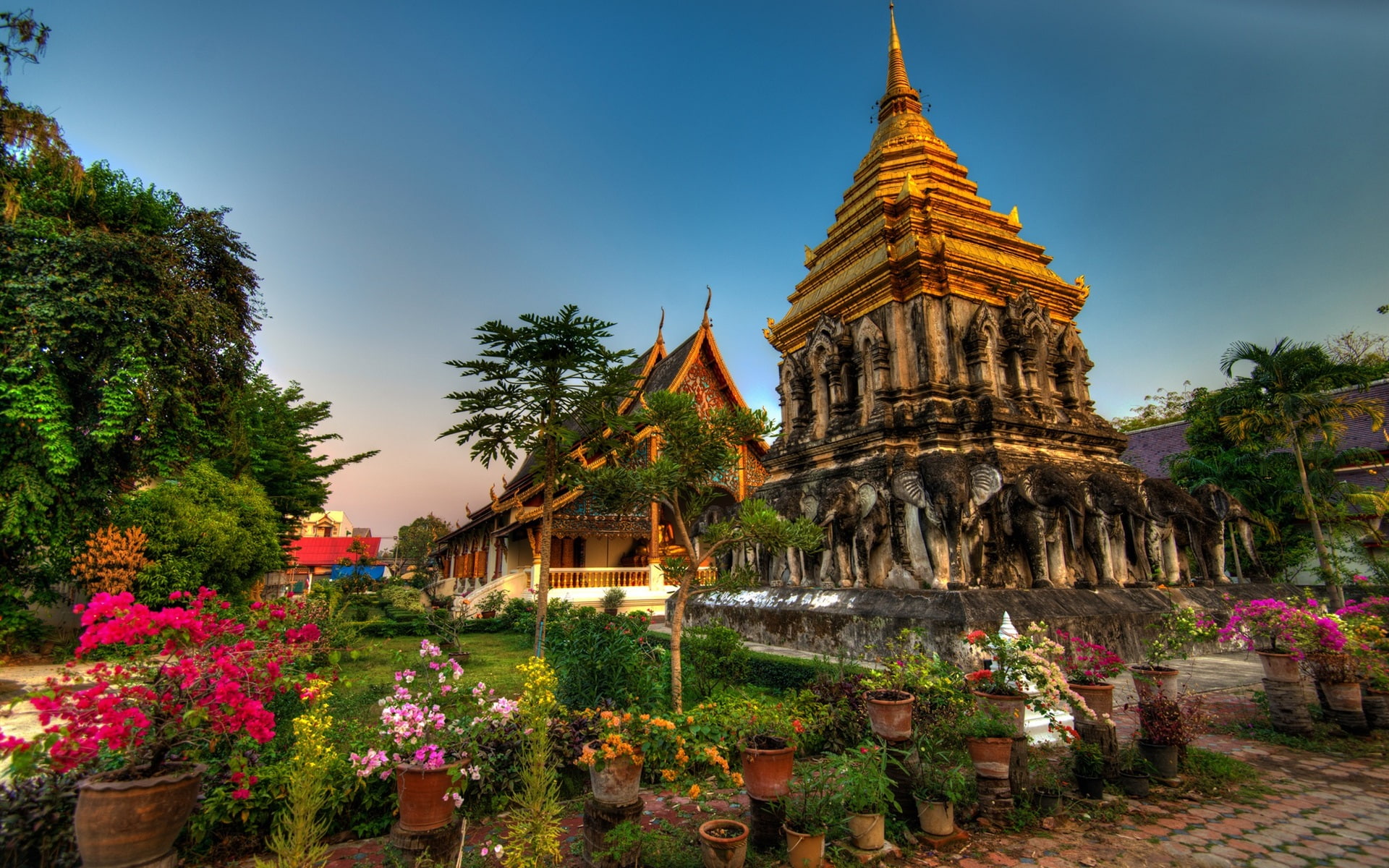wat, 1080P, Thailand, chiang, man, Flowers, HD Wallpaper
