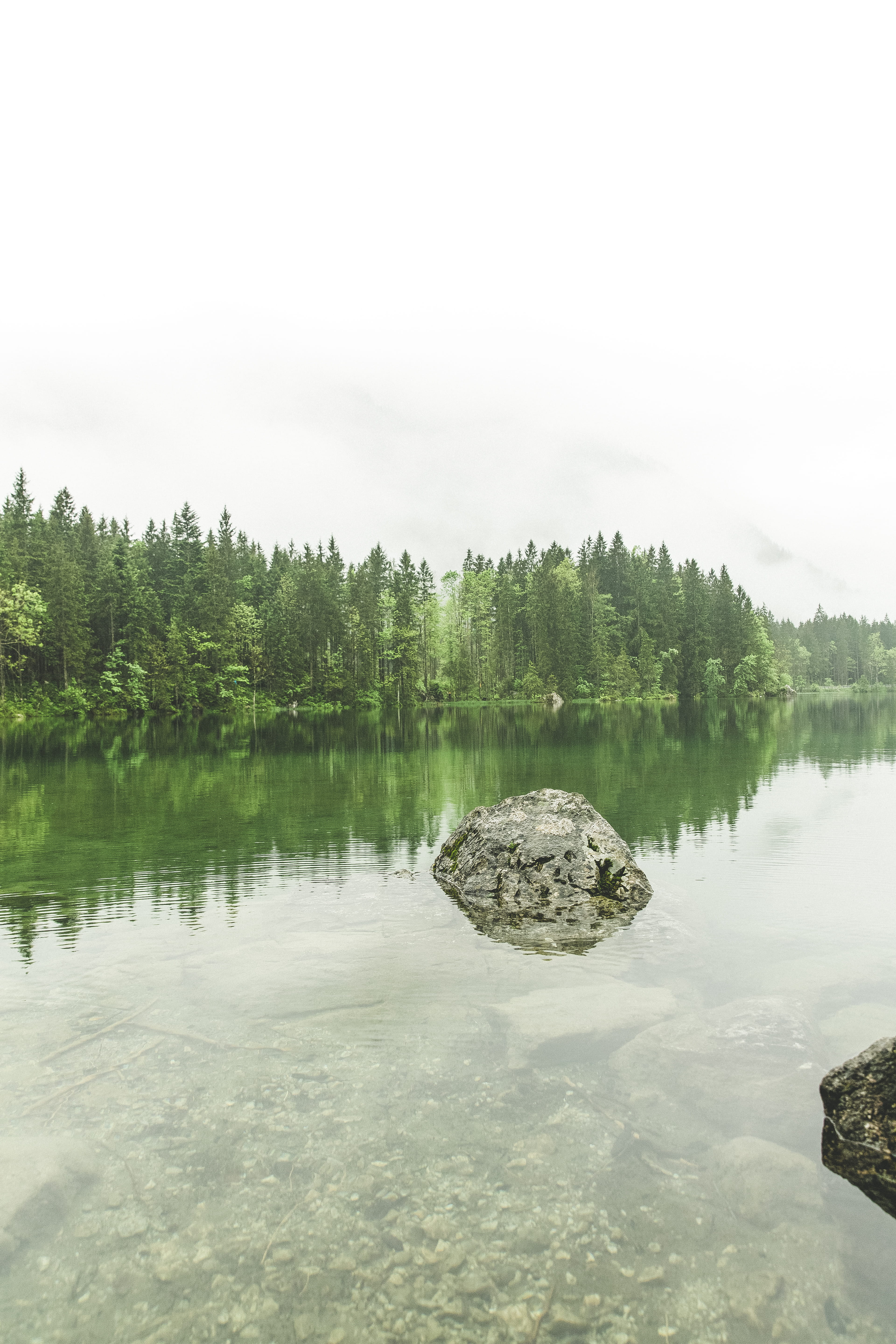 tranquility, flora, alligator, tranquil scene, hintersee, ripple, clean, 5K, crocodile, no people, rock - object, body, ramsau bei berchtesgaden, trees, Phone HD Wallpaper