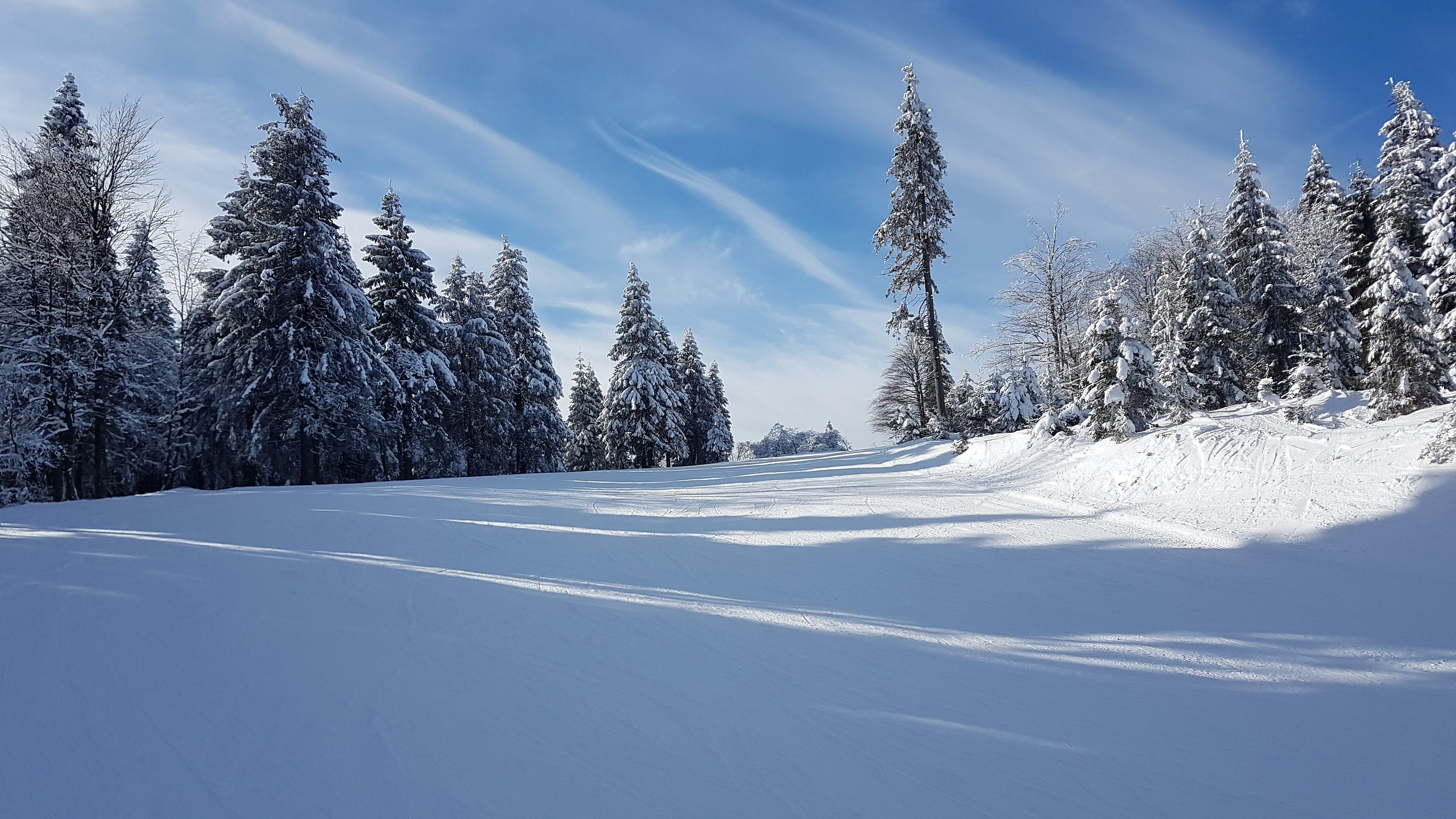 sky, cold temperature, pine woodland, poland, environment, no people, pine tree, tree, zieleniec, mountain, tranquility, scenics - nature, season, weather, HD Wallpaper