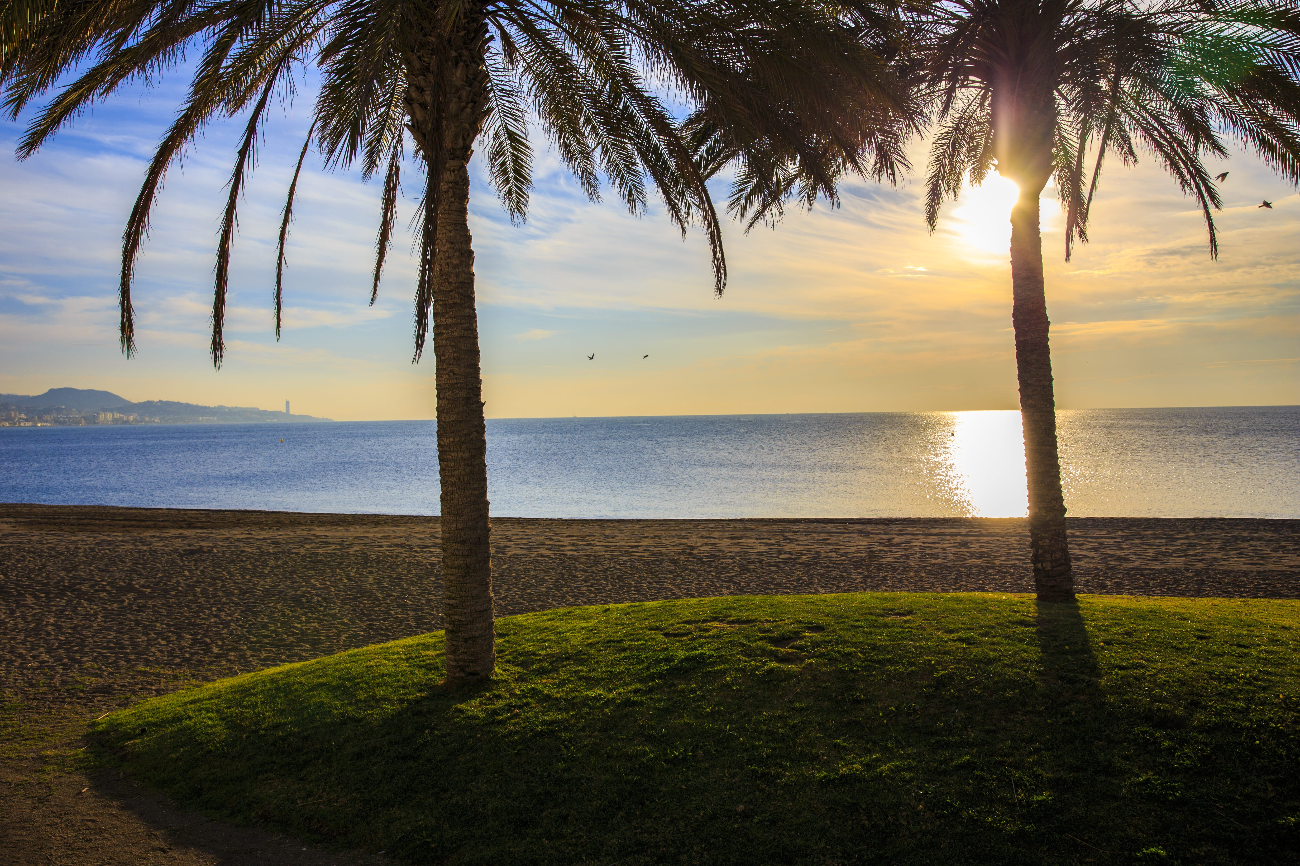 outdoors, ferie, ocean, sky, costa de sol, malaga, analuzja, beach, holidays, beauty in nature, land, horizon over water, nature, palm tree, paradise, tranquility, HD Wallpaper
