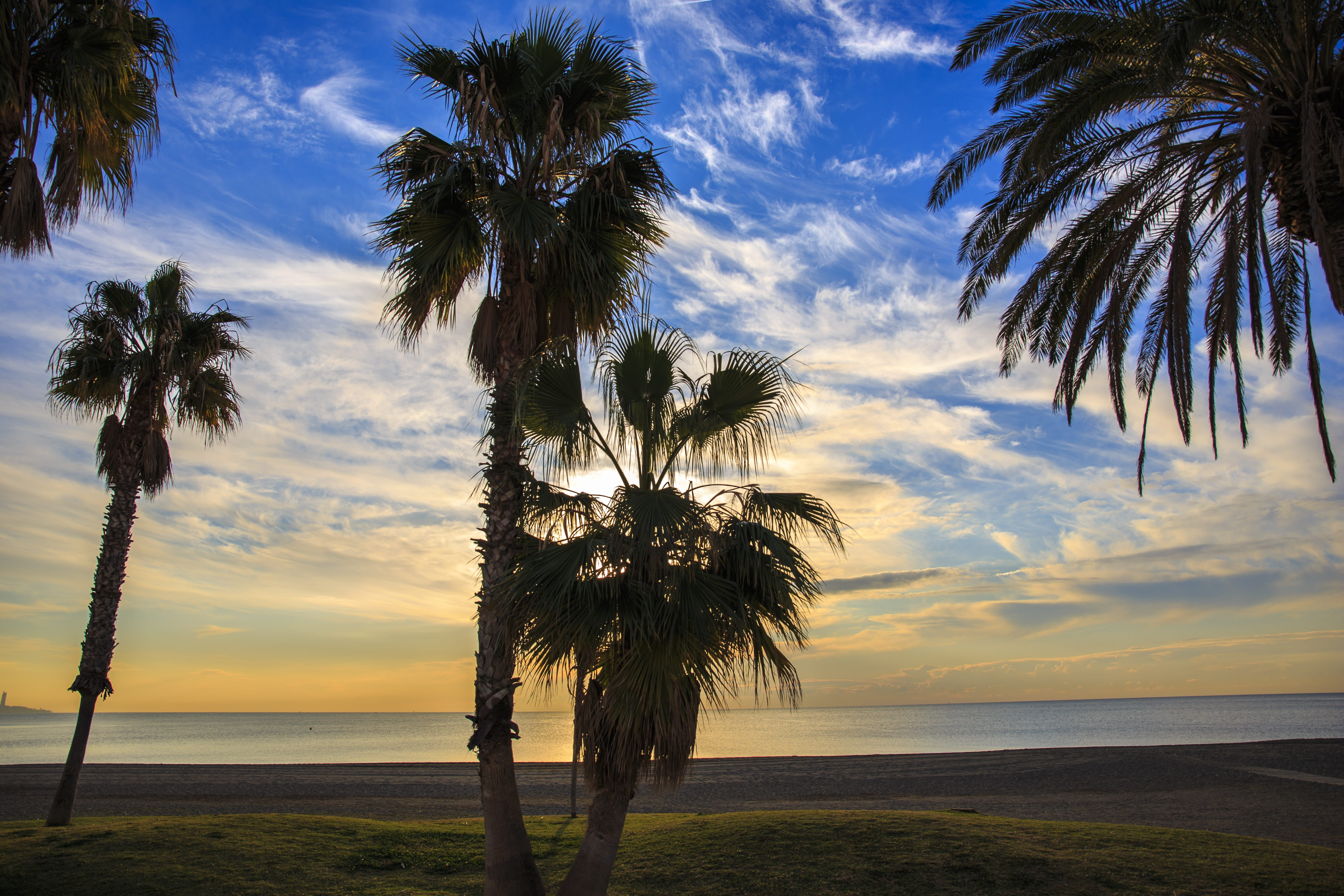 water, tranquil scene, outdoors, palm trees, sea, costa de la luz, rating, tranquility, land, palm tree, scenics - nature, the child on the beach, summer, HD Wallpaper