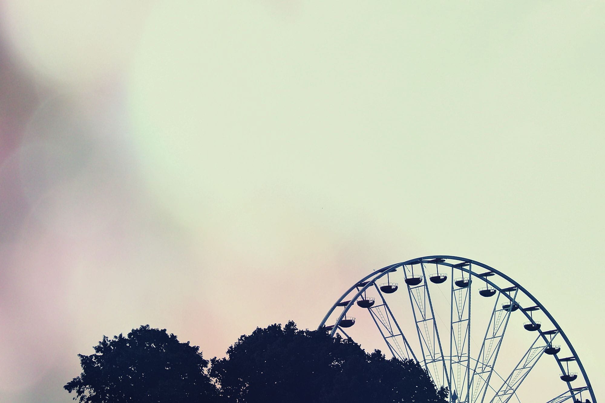 leaves, wheel, ride, silhouette, fairground, ferris Wheel, built structure, gondola, leisure, year market, copy space, fun, germany, sky, outdoors, crown, HD Wallpaper