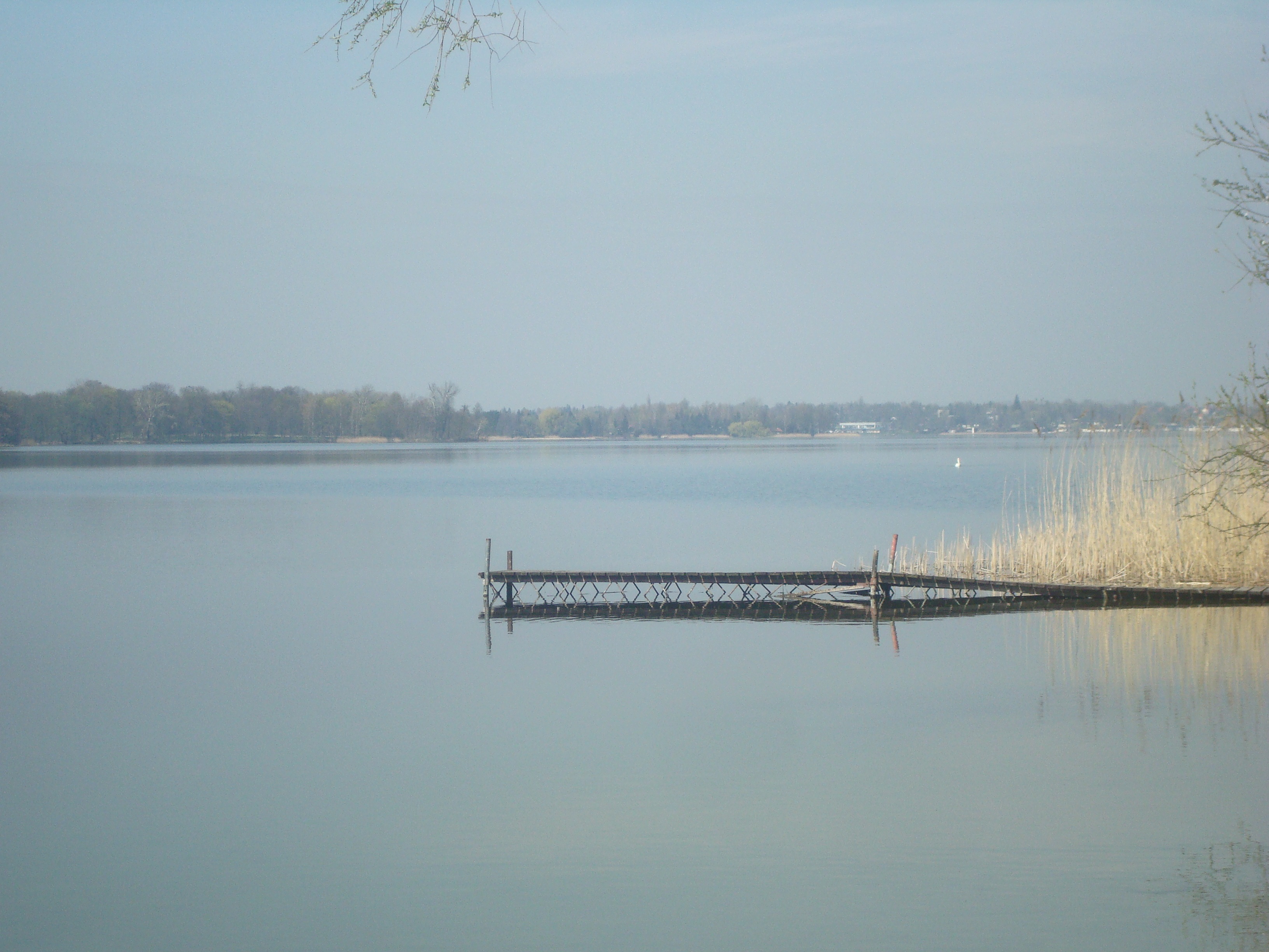 beach, nature, spacer, park, copy space, non-urban scene, outdoors, scenics - nature, water, tranquility, lake, summer, waterfront, ferie, plant, no people, HD Wallpaper