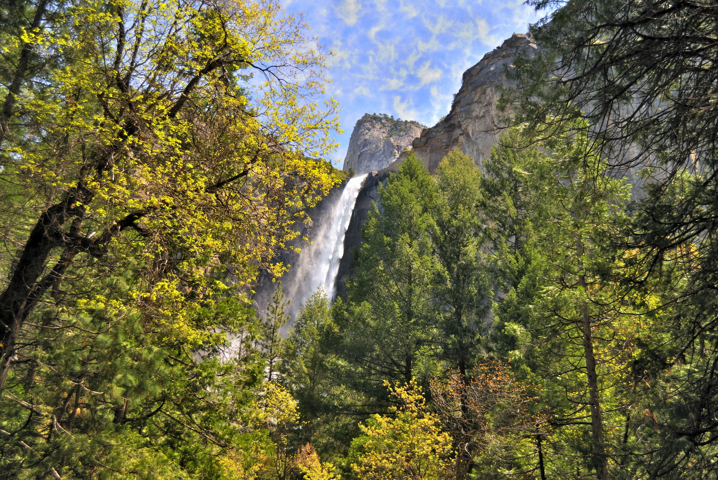 waterfall, Yosemite National Park, CA, USA, rocks, 1080P, Bridalveil Fall, trees, mountains, HD Wallpaper