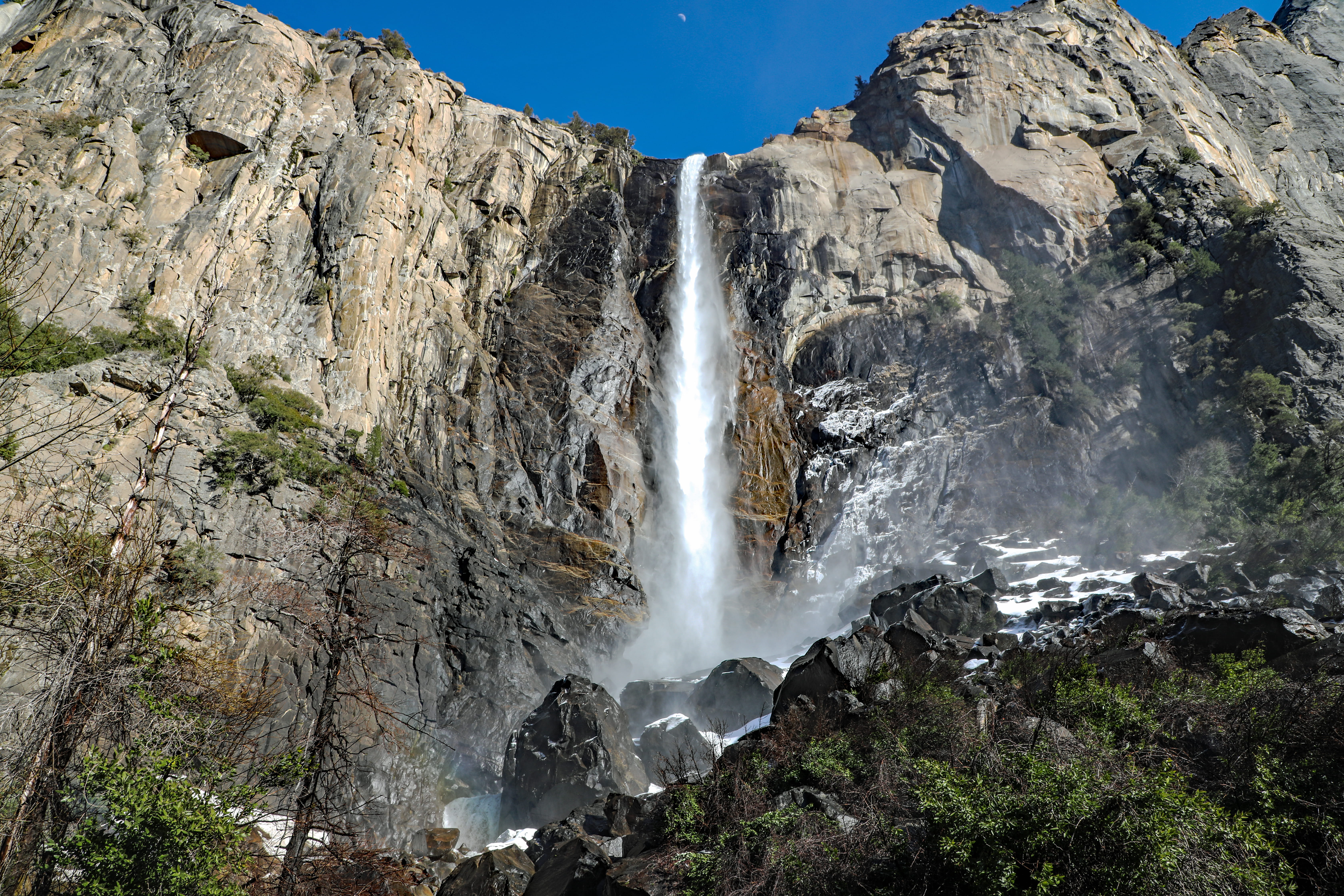 plant, power in nature, beauty in nature, rock, waterfall, fall, motion, no people, day, nature, non-urban scene, bridalveil, environment, outdoors, california, HD Wallpaper