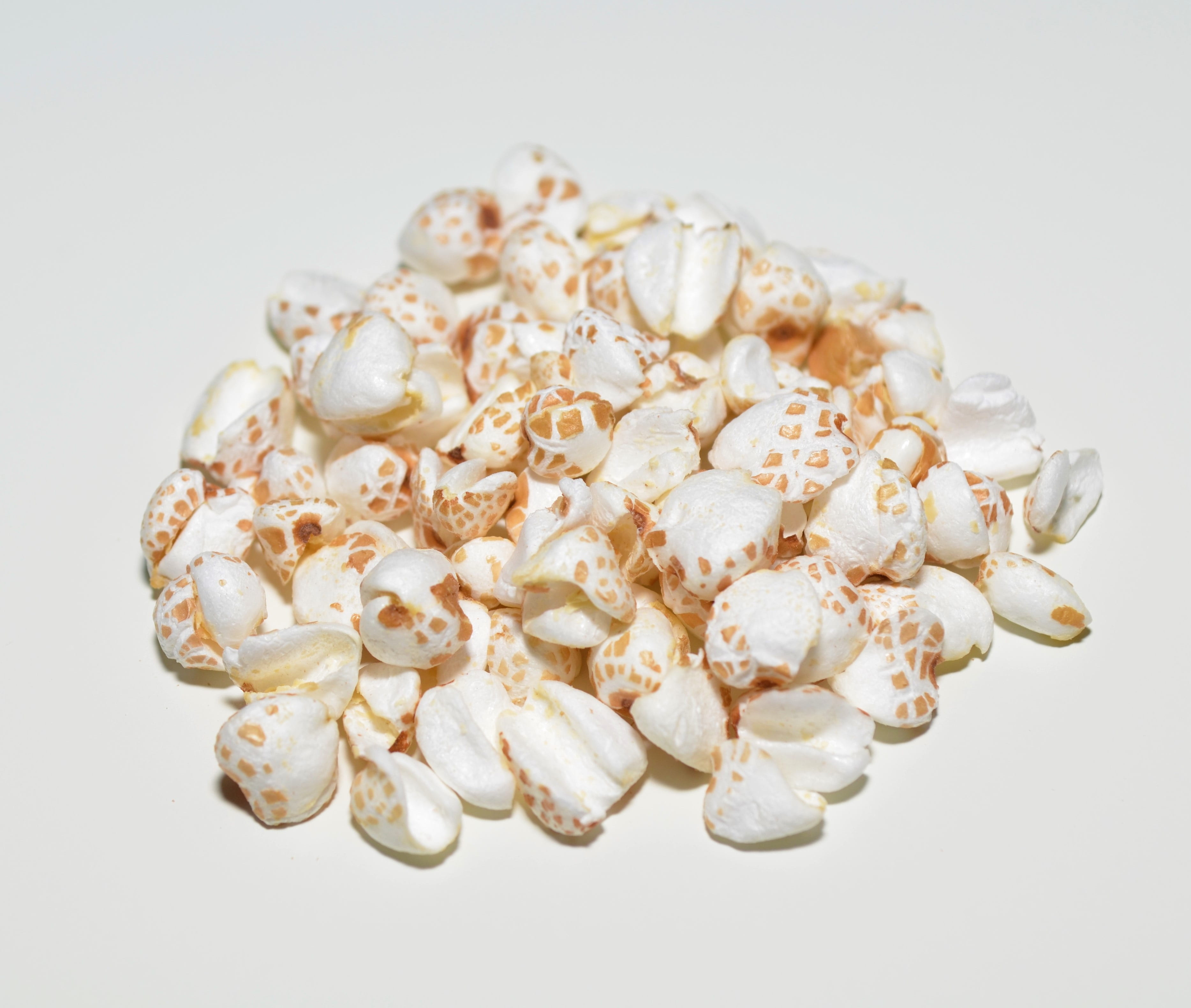 cut out, no people, single object, studio shot, wealth, indoors, jewelry, natural, shiny, animal shell, white background, 2K, puffed, buckwheat, food and drink, HD Wallpaper