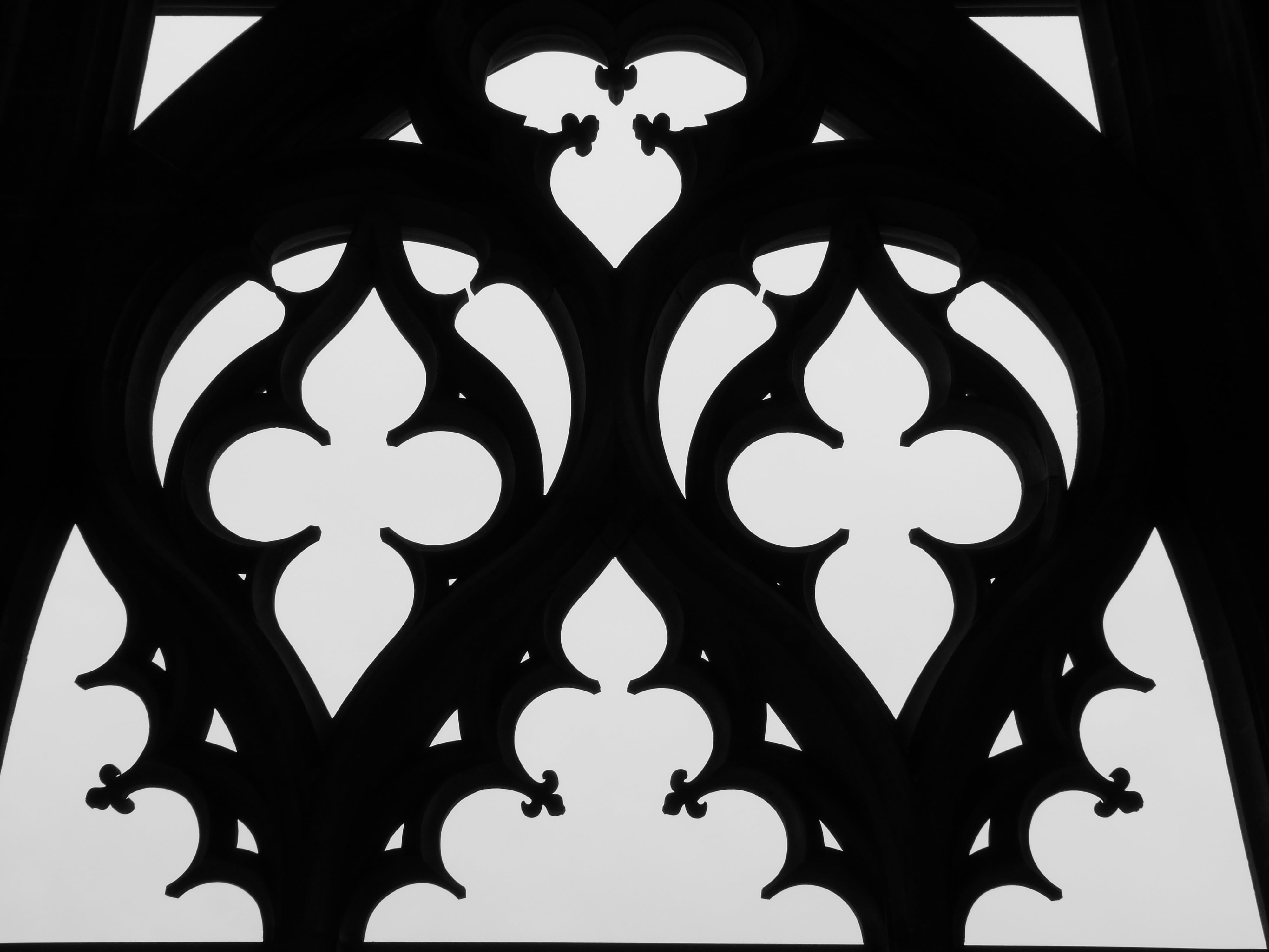 no people, shape, rock, middle ages, black and white, wrought iron, animal representation, floral pattern, dom, design, pattern, ornate, ulm cathedral, HD Wallpaper