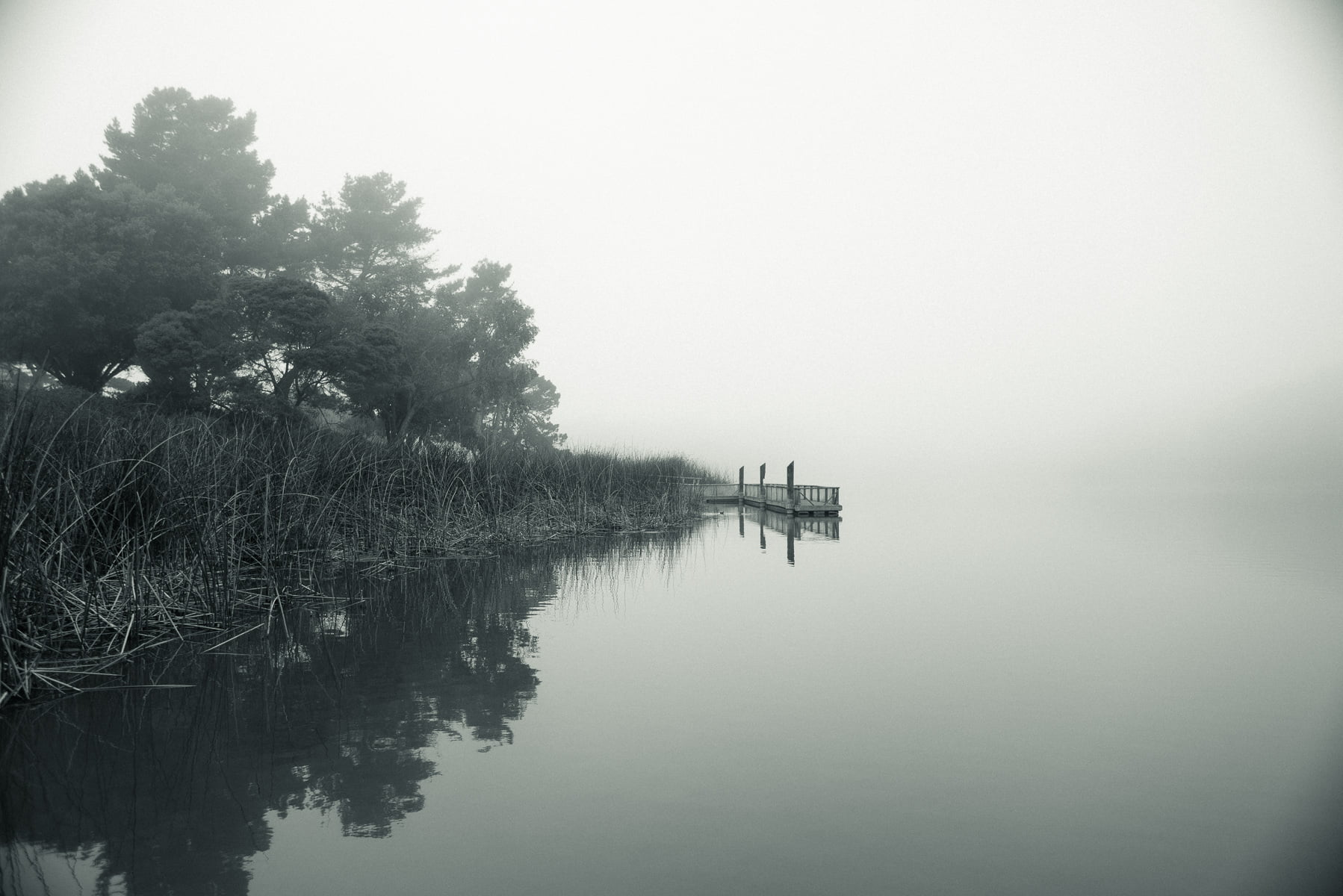 water, bw, gray, f2, lake, Lake Merced, merced, san francisco, tree, lakes, reflection, green, 720P, nature, om, green lake, HD Wallpaper