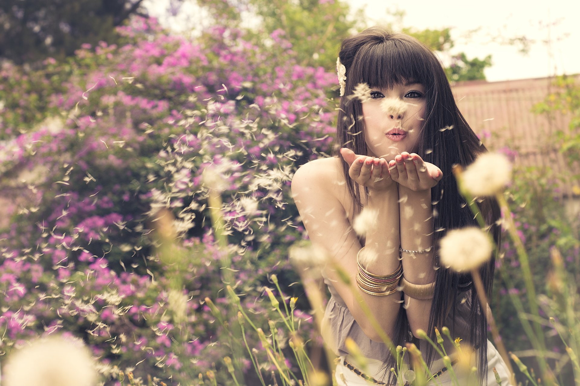 Model, Women, Girl, 1080P, Blow, Dandelion, Hair, Spring, Pretoria, Africa, Asian, HD Wallpaper