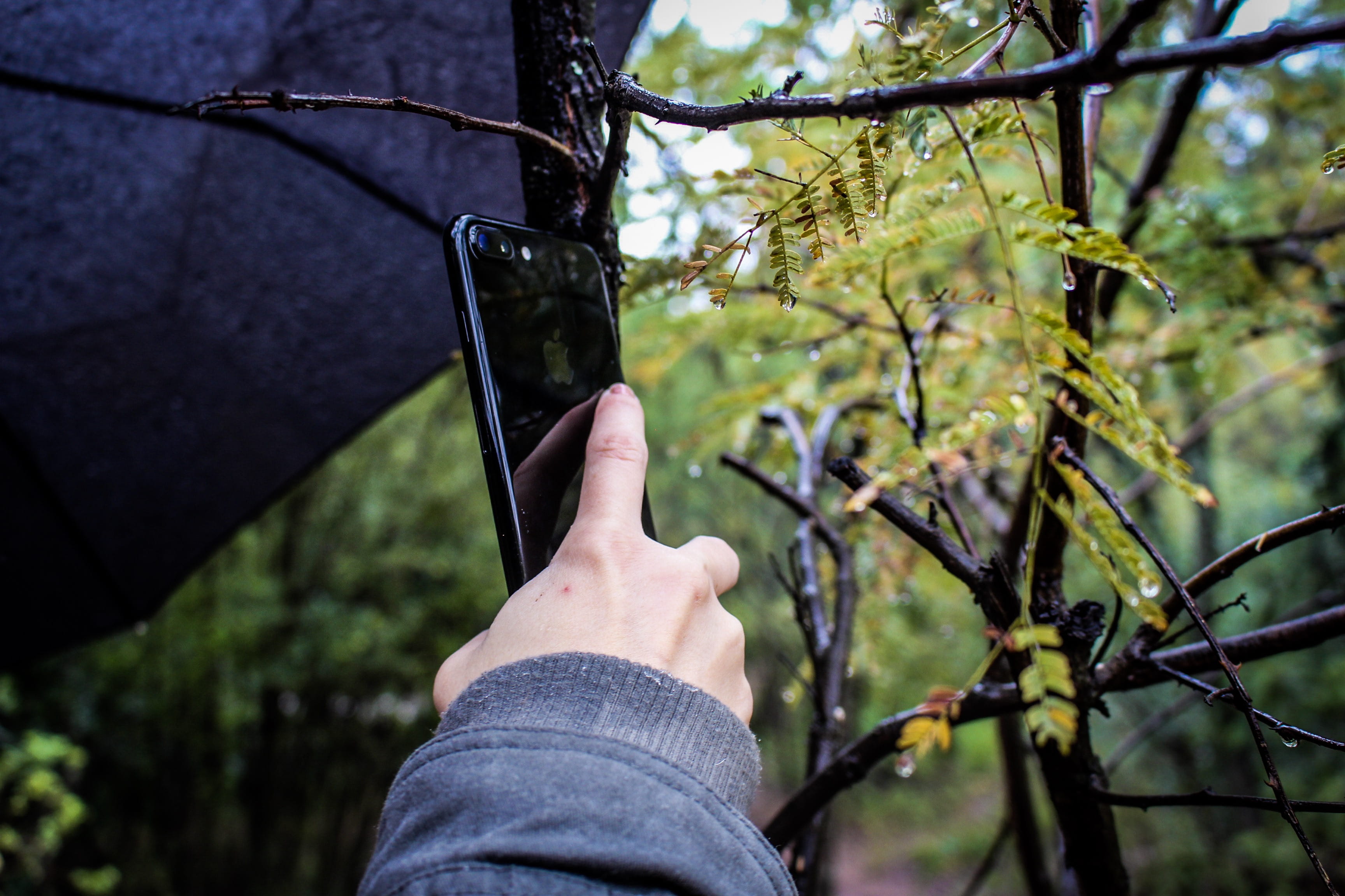 2K, personal perspective, environment, droplets, focus on foreground, explore, wireless technology, rain, tree, leisure activity, one person, rainy, real people, HD Wallpaper