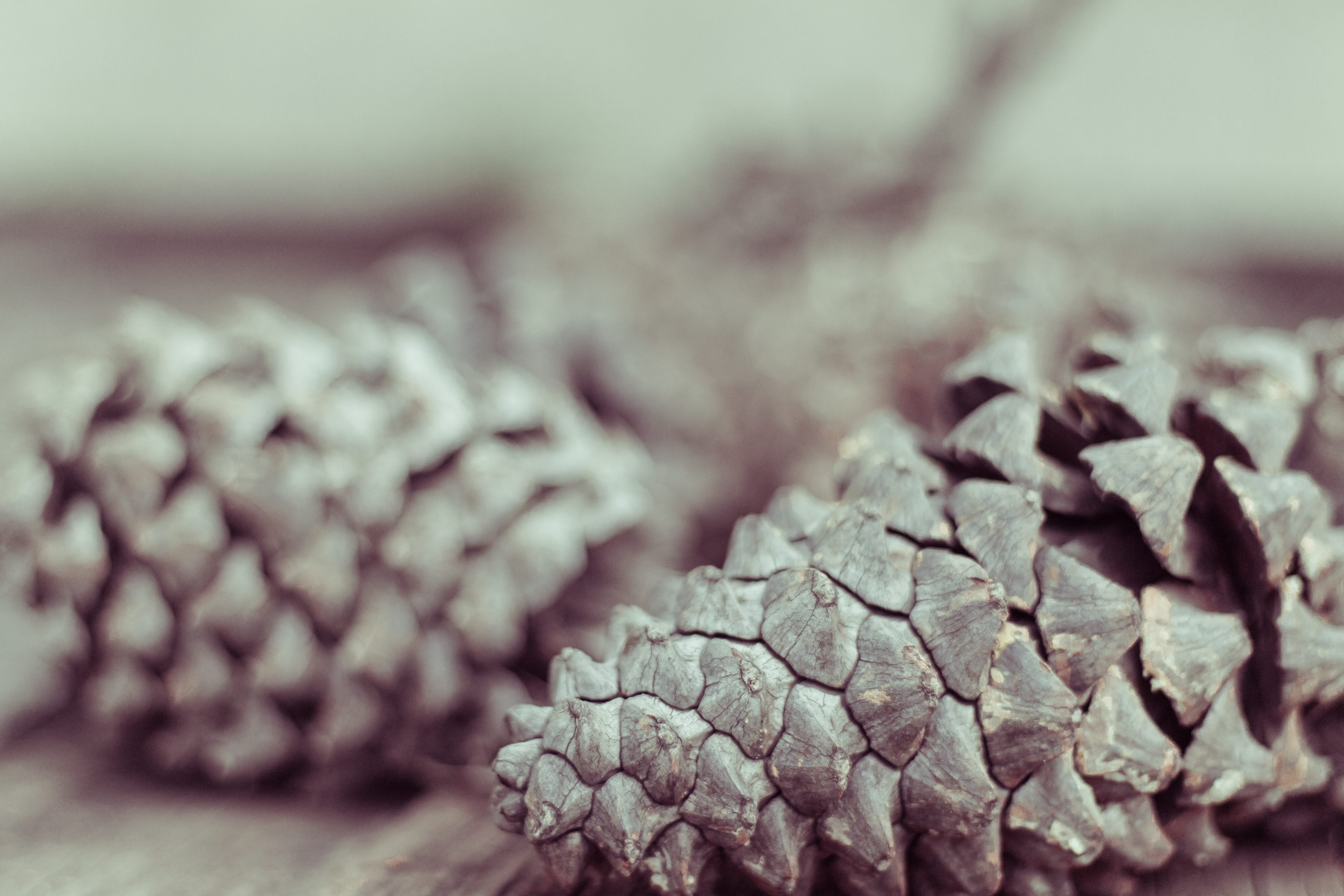 abundance, no people, indoors, wellbeing, gitfo, luxury, healthy eating, raw, stack, pretoria, close-up, focus on foreground, dried food, soft, wood - material, HD Wallpaper