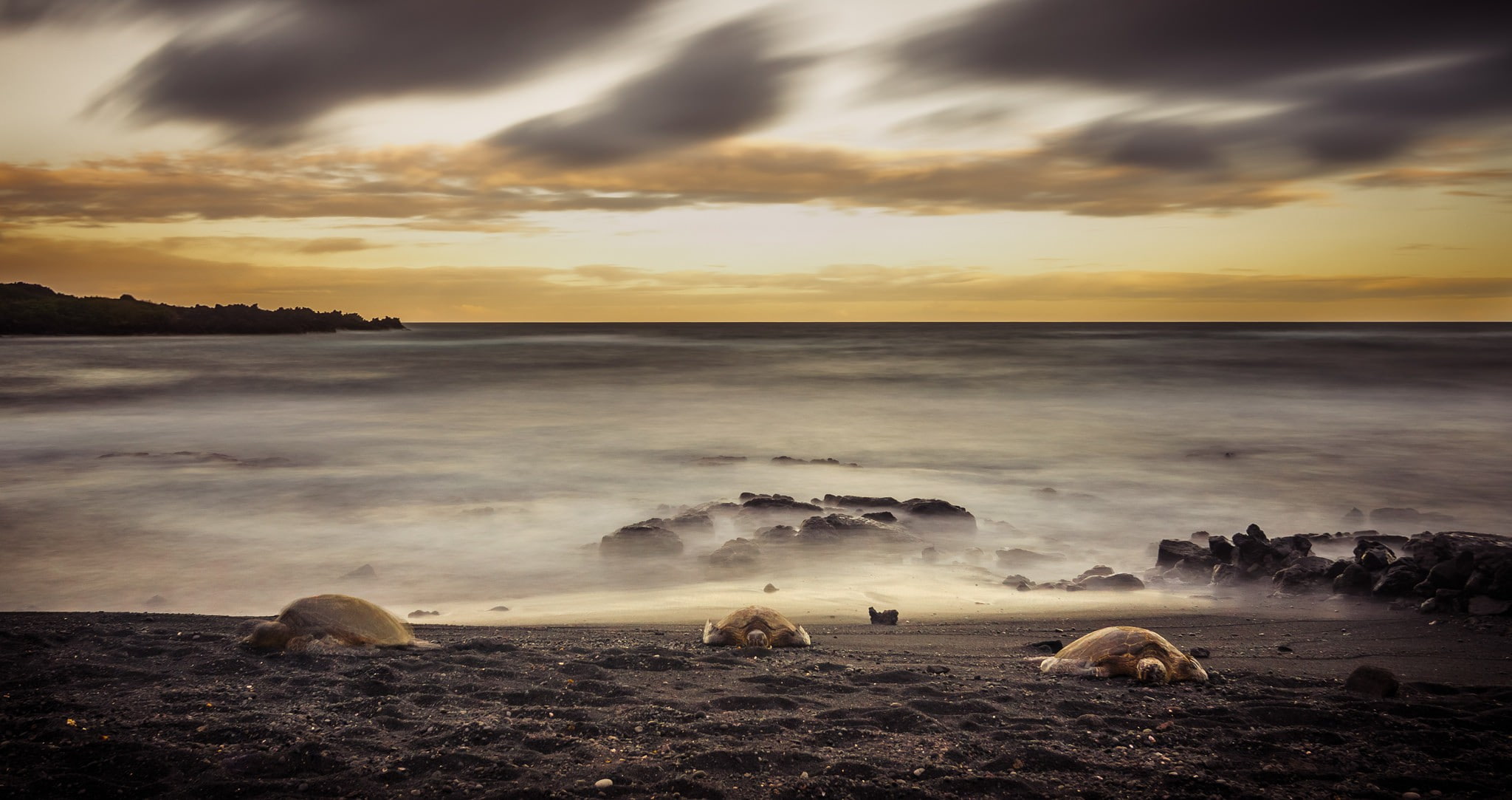 clouds, landscape, solid, turtle, horizon, cloud - sky, horizon over water, rock, 1080P, nature, rest, land, beauty in nature, scenics - nature, no people, HD Wallpaper