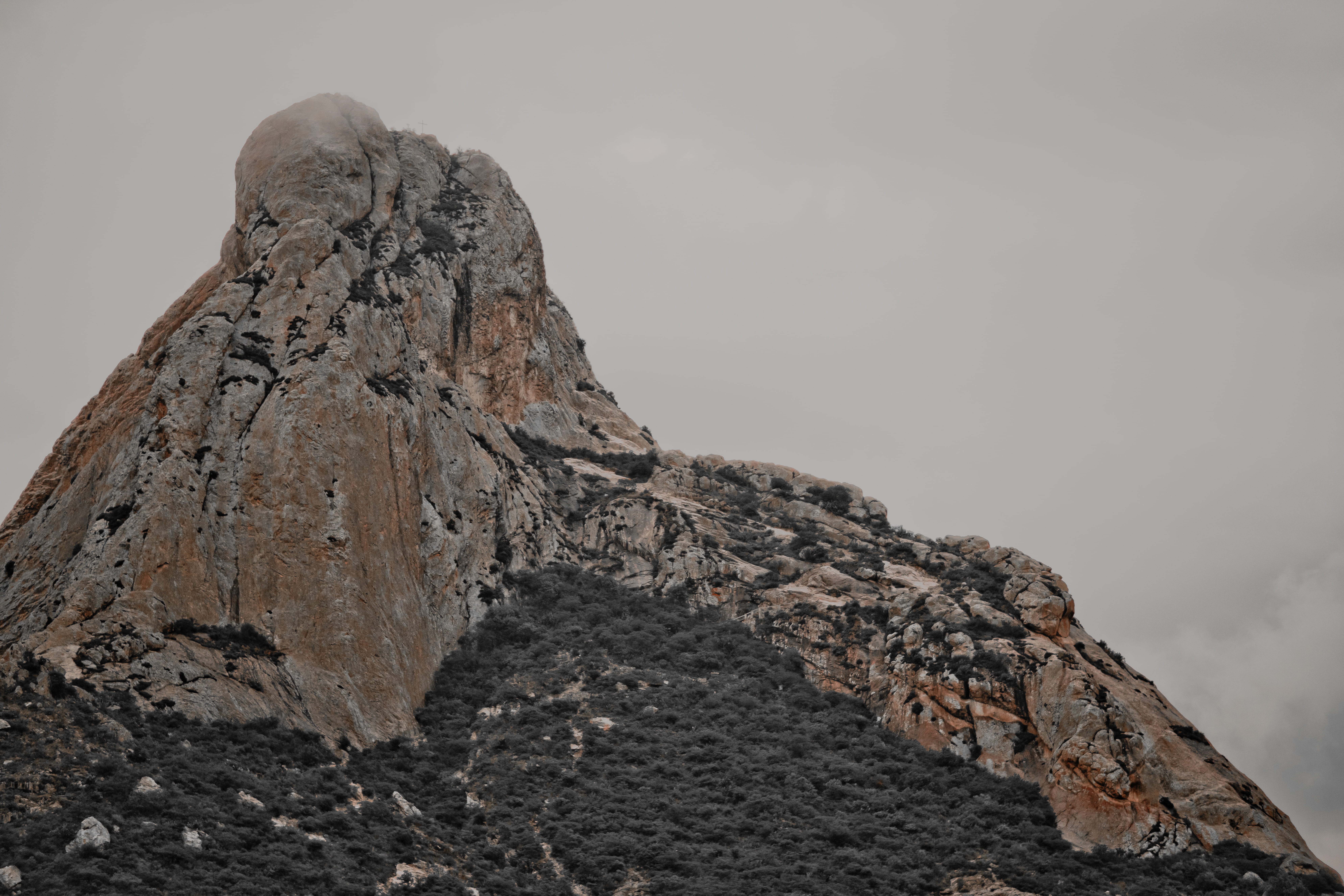 remote, outdoors, low angle view, trees, day, 8K, solid, nature, peña de bernal, no people, geology, clear sky, vacations, scenics - nature, physical geography, HD Wallpaper