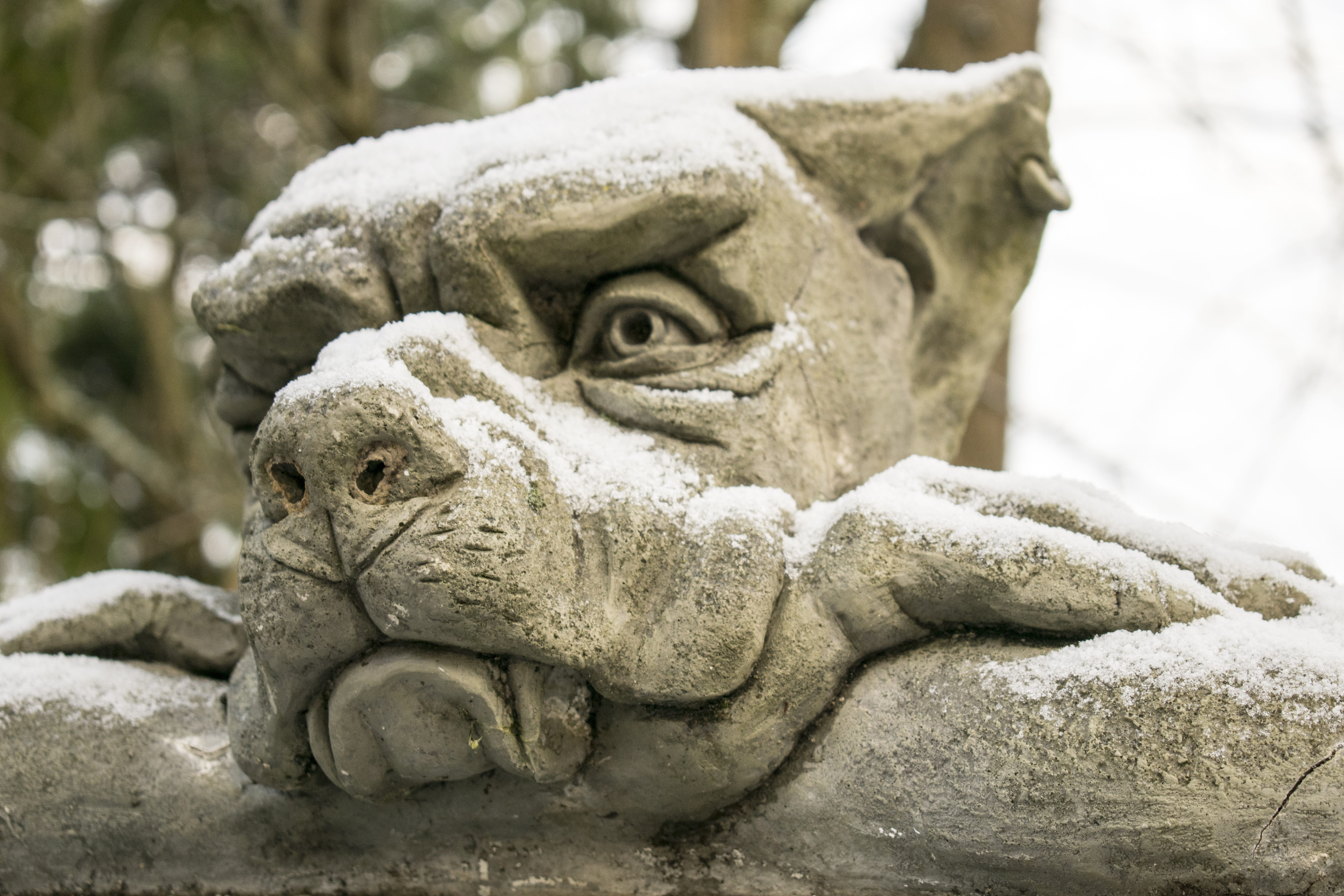 travel, creativity, teeth, animal, weathered, garden decoration, guard dog, representation, nose, aggression, mammal, eyes, gatekeeper, stone material, HD Wallpaper