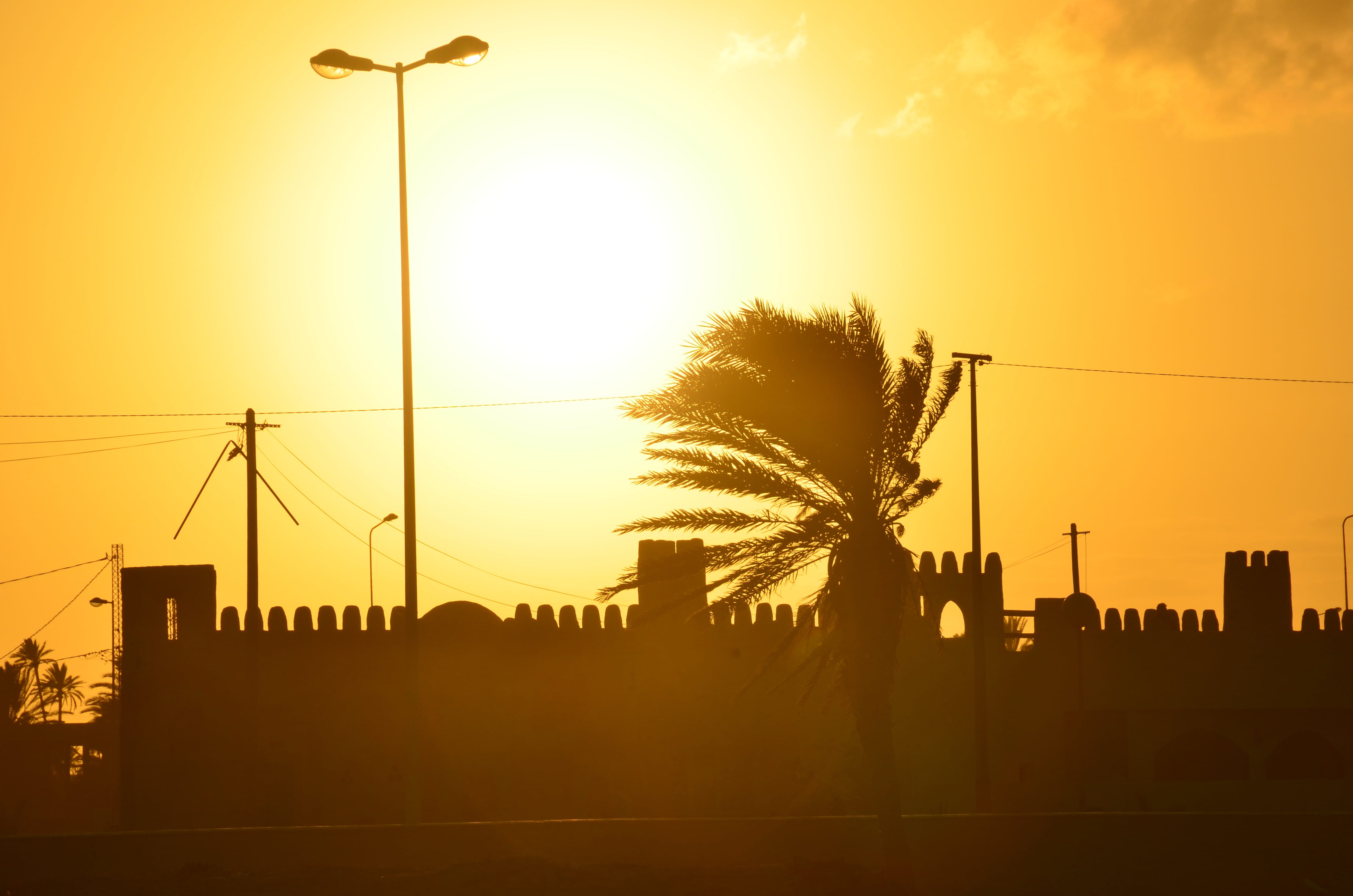 outdoors, 4K, built structure, street light, Fixing, electricity, Palm, dusk, orange color, tropical climate, Fort, sunlight, building exterior, street, HD Wallpaper