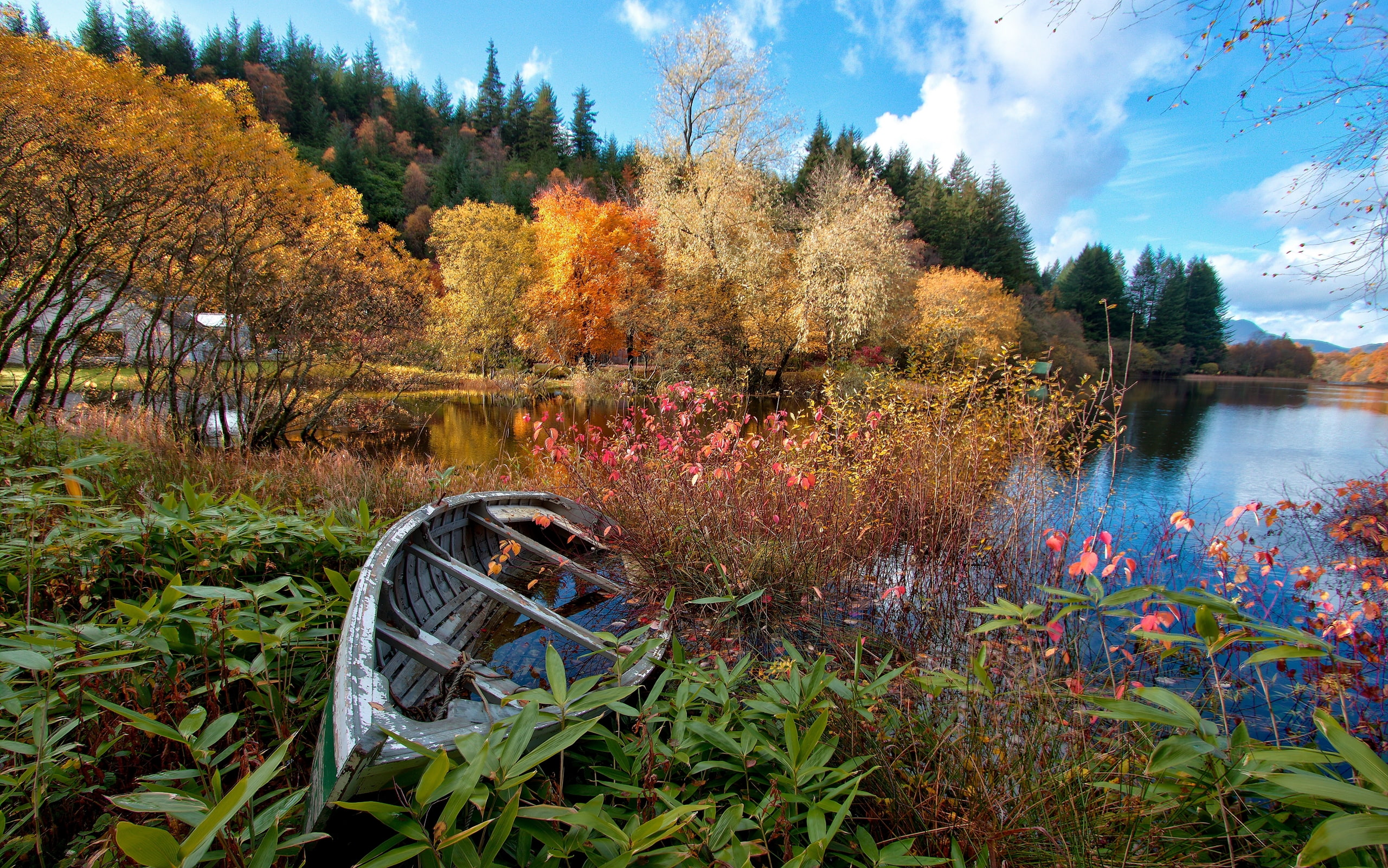 cosse, gb, ard, 2K, lac, loch, arbres, HD Wallpaper