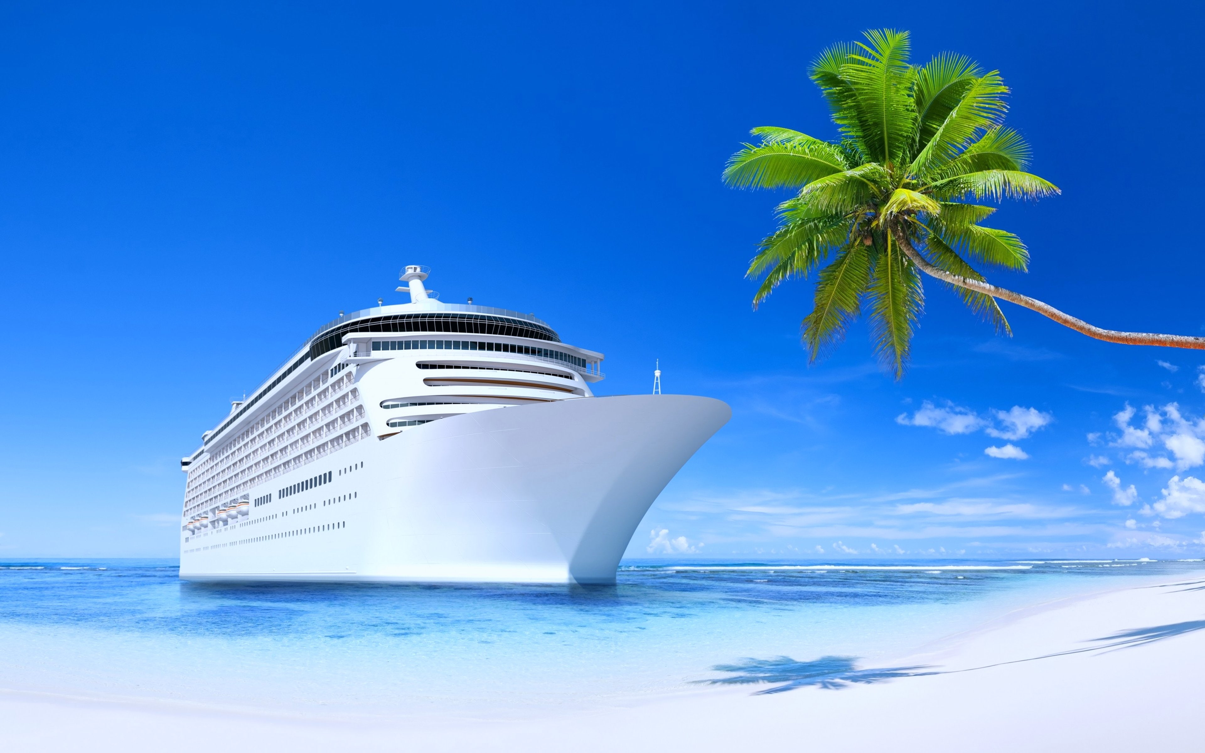 white color, outdoors, luxury, nature, palms, tropical climate, 4K, growth, blue, land, beautiful, palm tree, summer, tourism, nautical vessel, beauty in nature, HD Wallpaper
