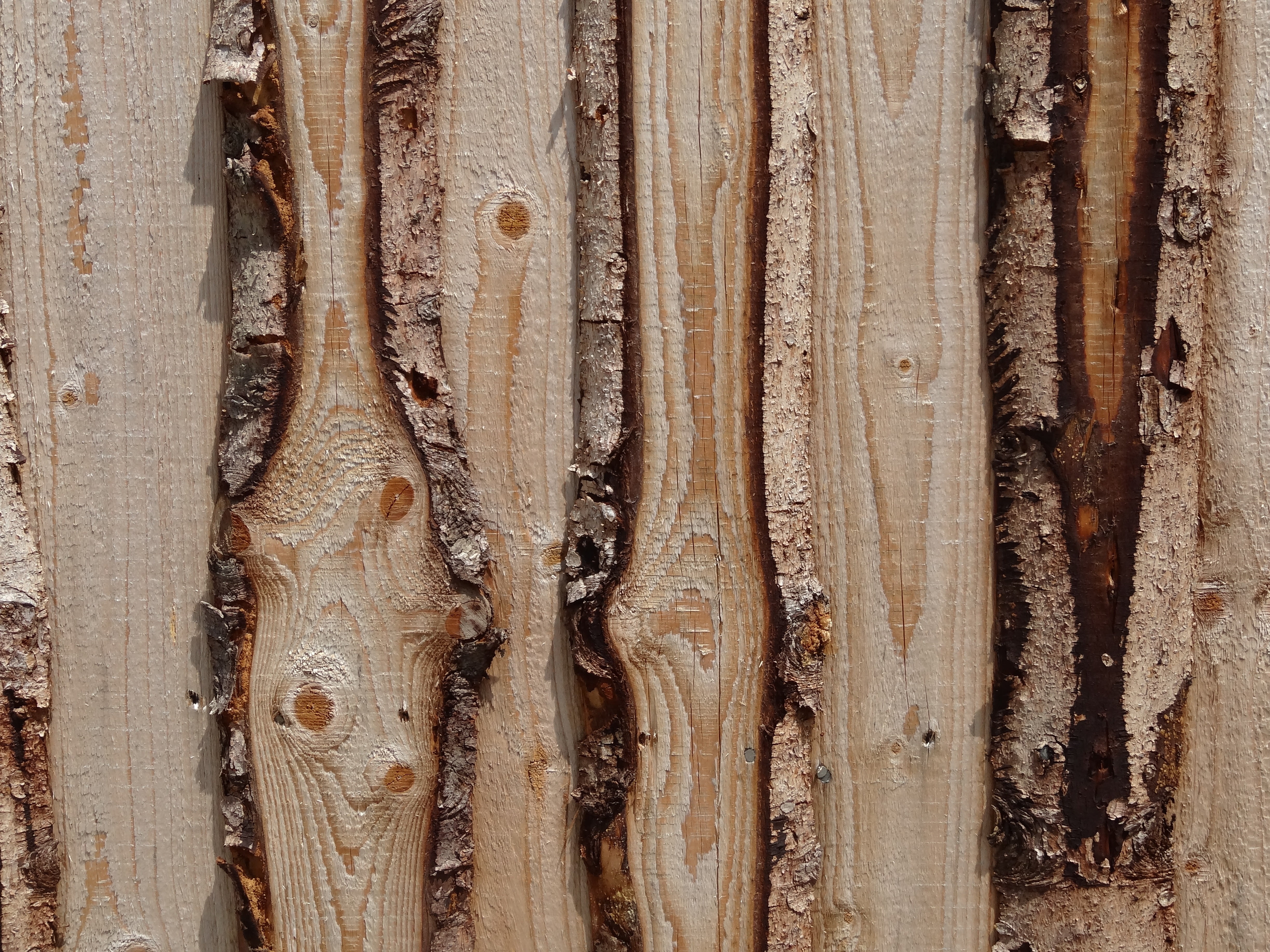 limit, close-up, wood fence, demarcation, day, tree, photo, site, rough, old, brown, textured effect, boards, full frame, taking, weathered, pattern, wood grain, HD Wallpaper