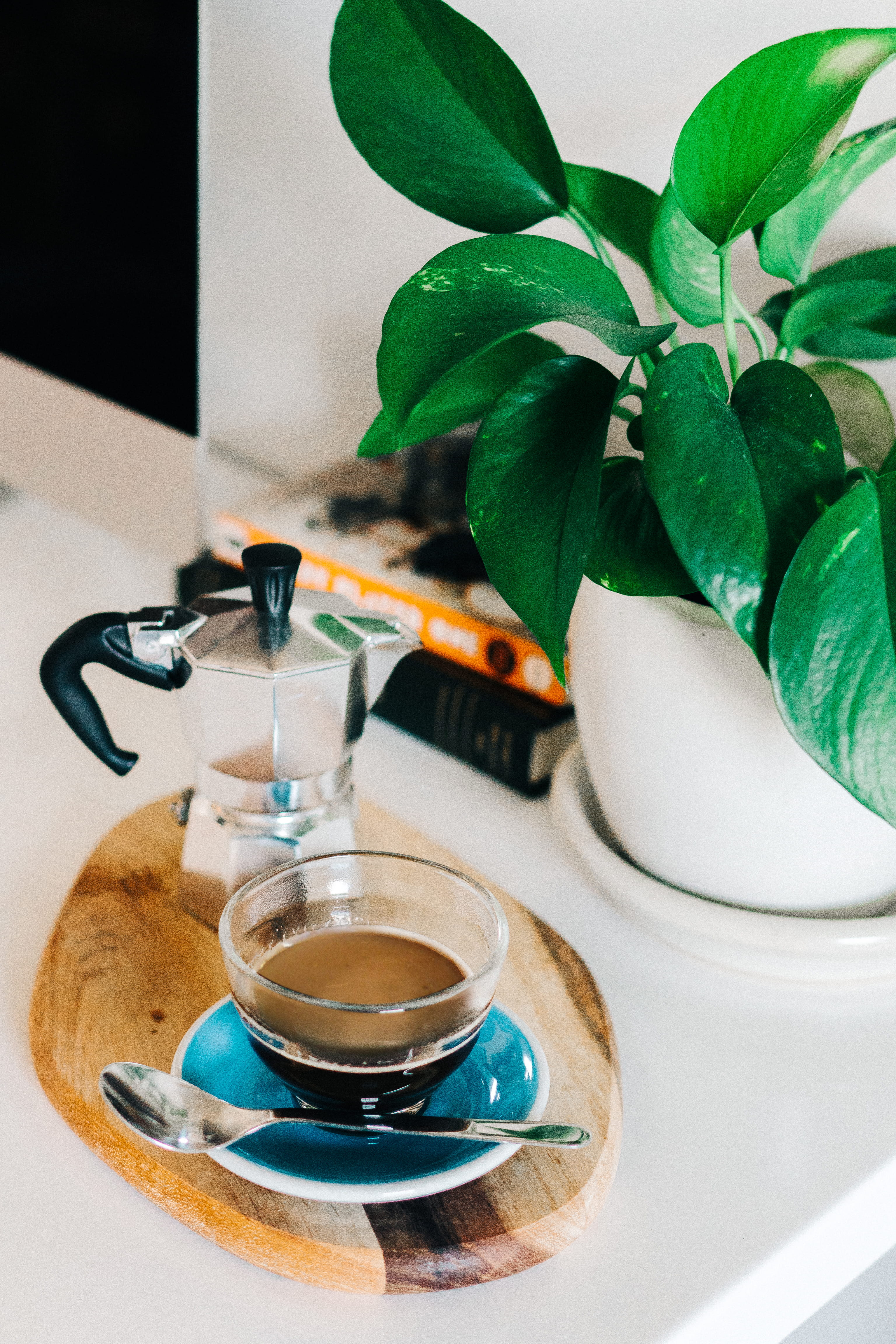 steel, drink, plant part, spoon, freshness, gray, green, hot drink, leaves, indoors, pot, crockery, nature, moca pot, moka, no people, filled, tea cup, Phone HD Wallpaper