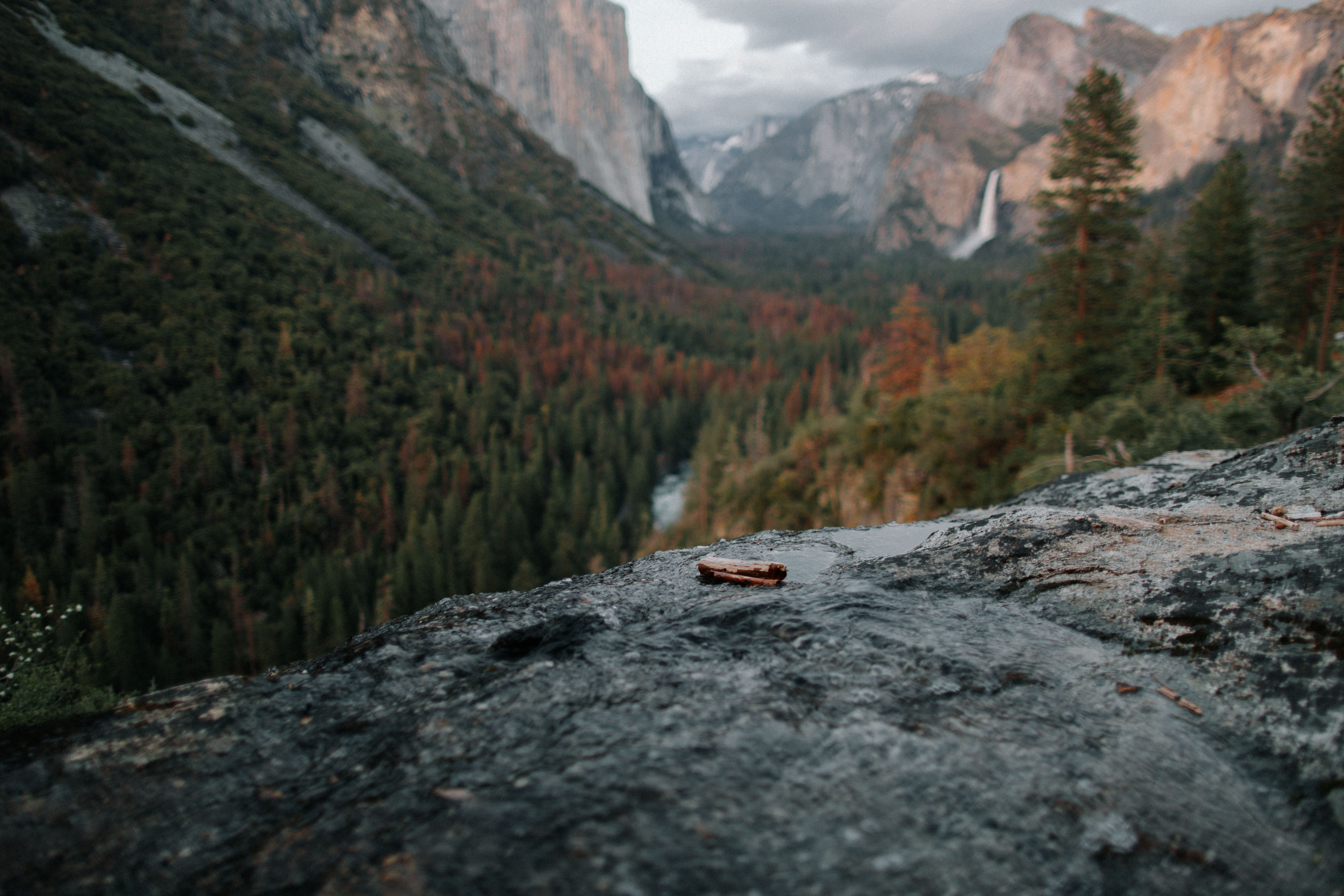 plant, tranquility, mountain, solid, fall, environment, landscape, evergreen, rock - object, beauty in nature, explore, waterfall, transportation, depth, HD Wallpaper