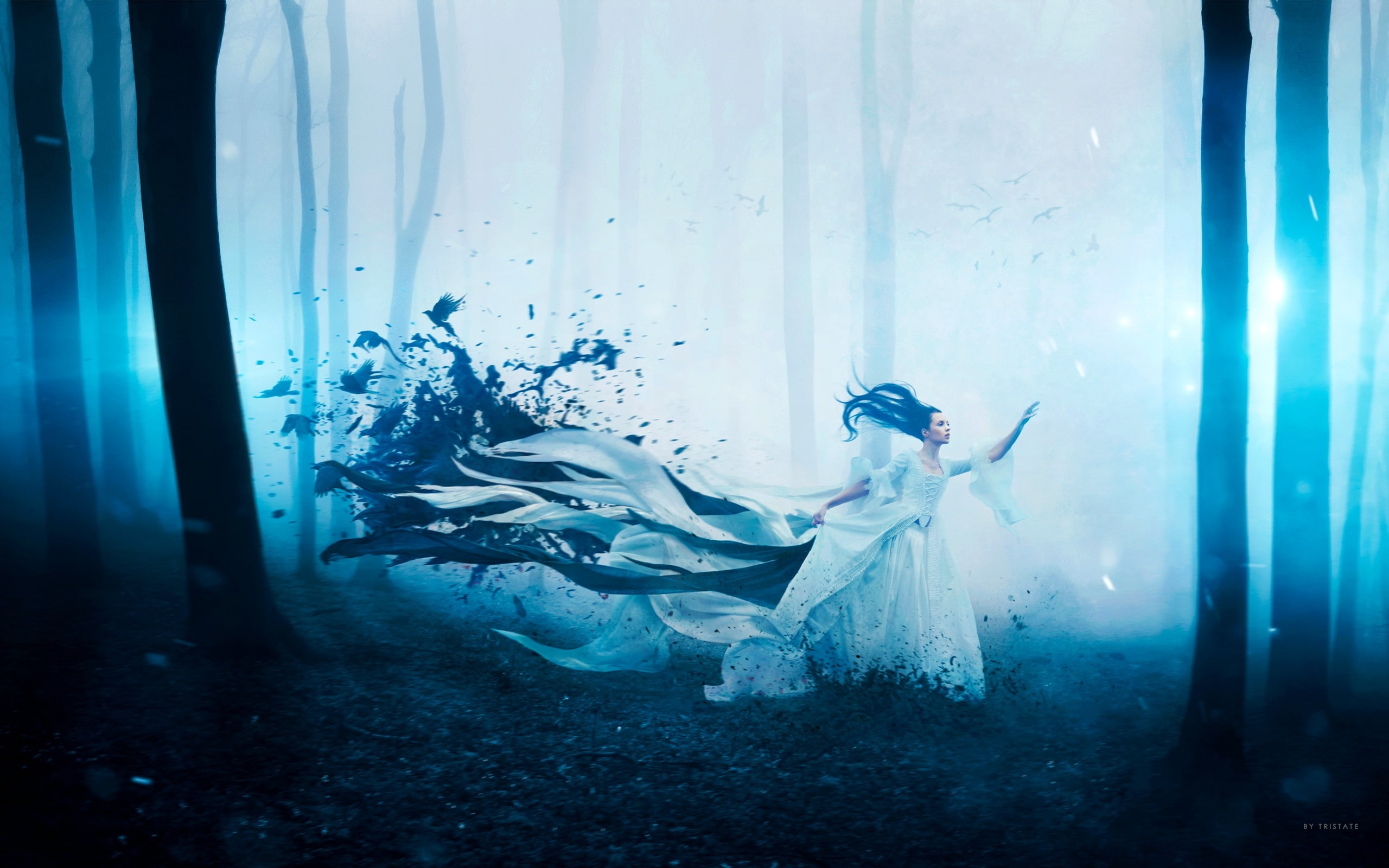 birds, surreal, x, 2K, Lights, forest, reaching, hd, art, fog, animals, dreams, mystical, HD Wallpaper