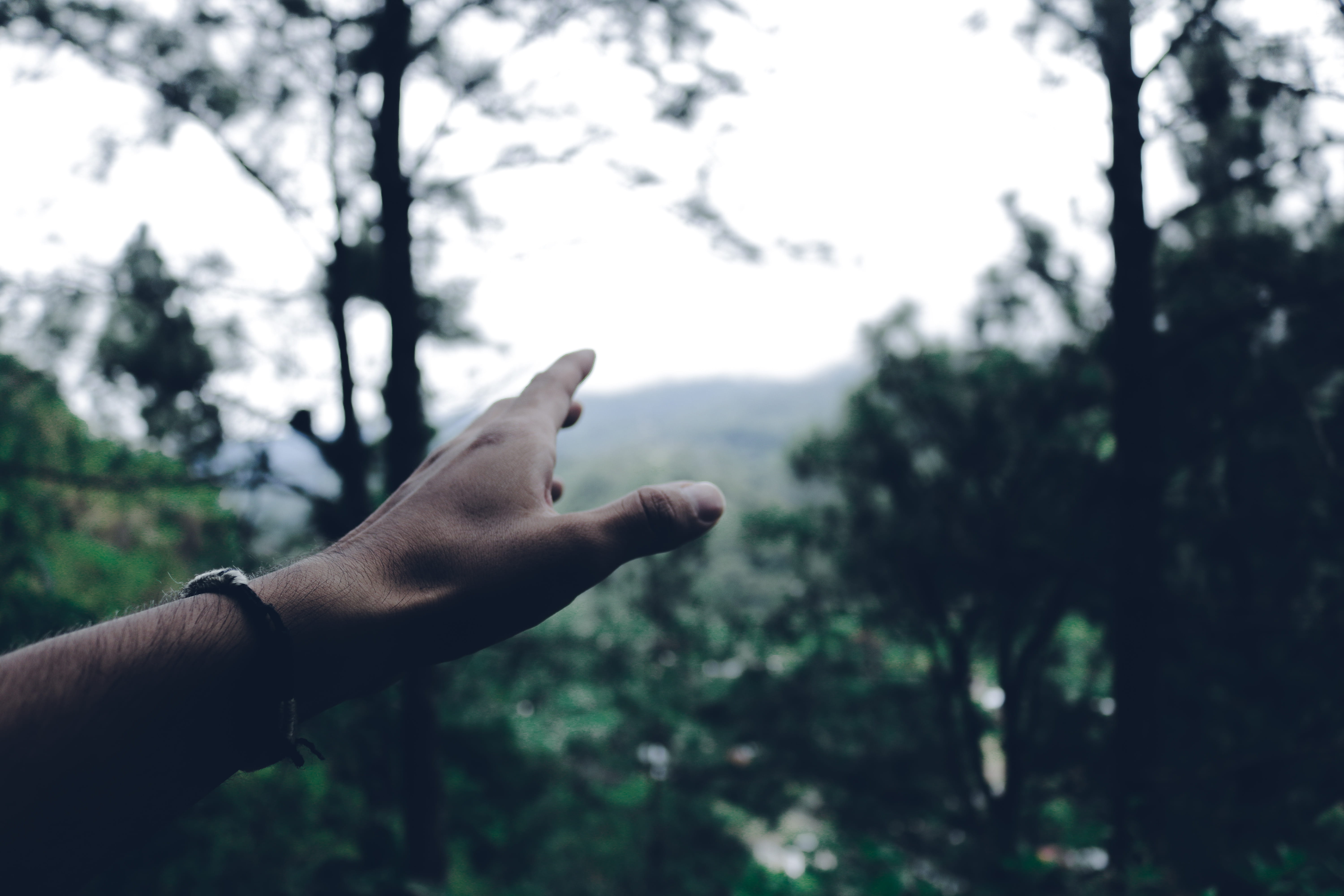 reaching, person, trees, focus on foreground, gesturing, green, human hand, create, human body part, one person, forest, human limb, unrecognizable person, HD Wallpaper