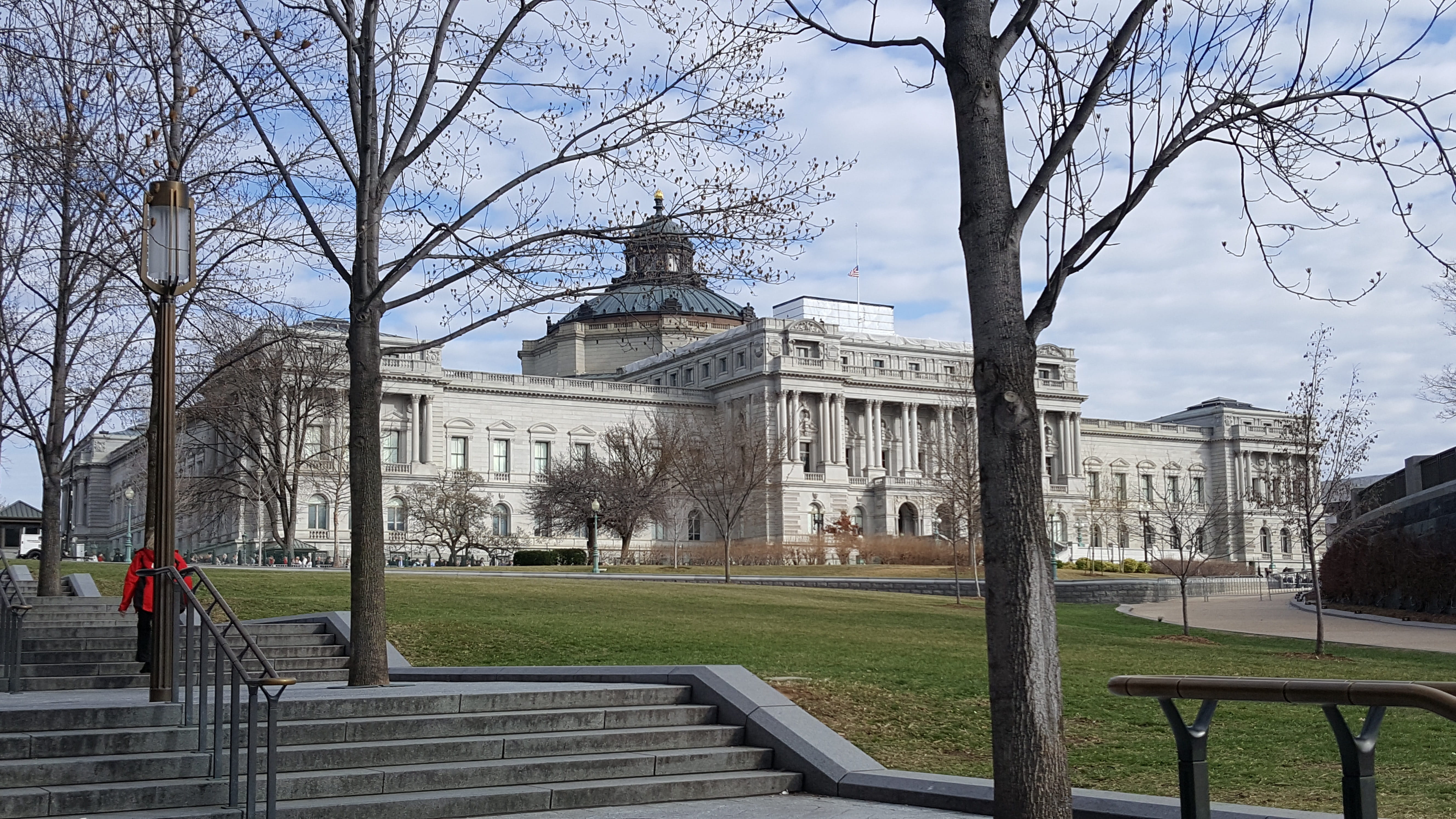 branch, city, incidental people, dome, washington, tree, building exterior, jefferson building, plant, sky, building, c, park bench, bare tree, us library of congress, HD Wallpaper