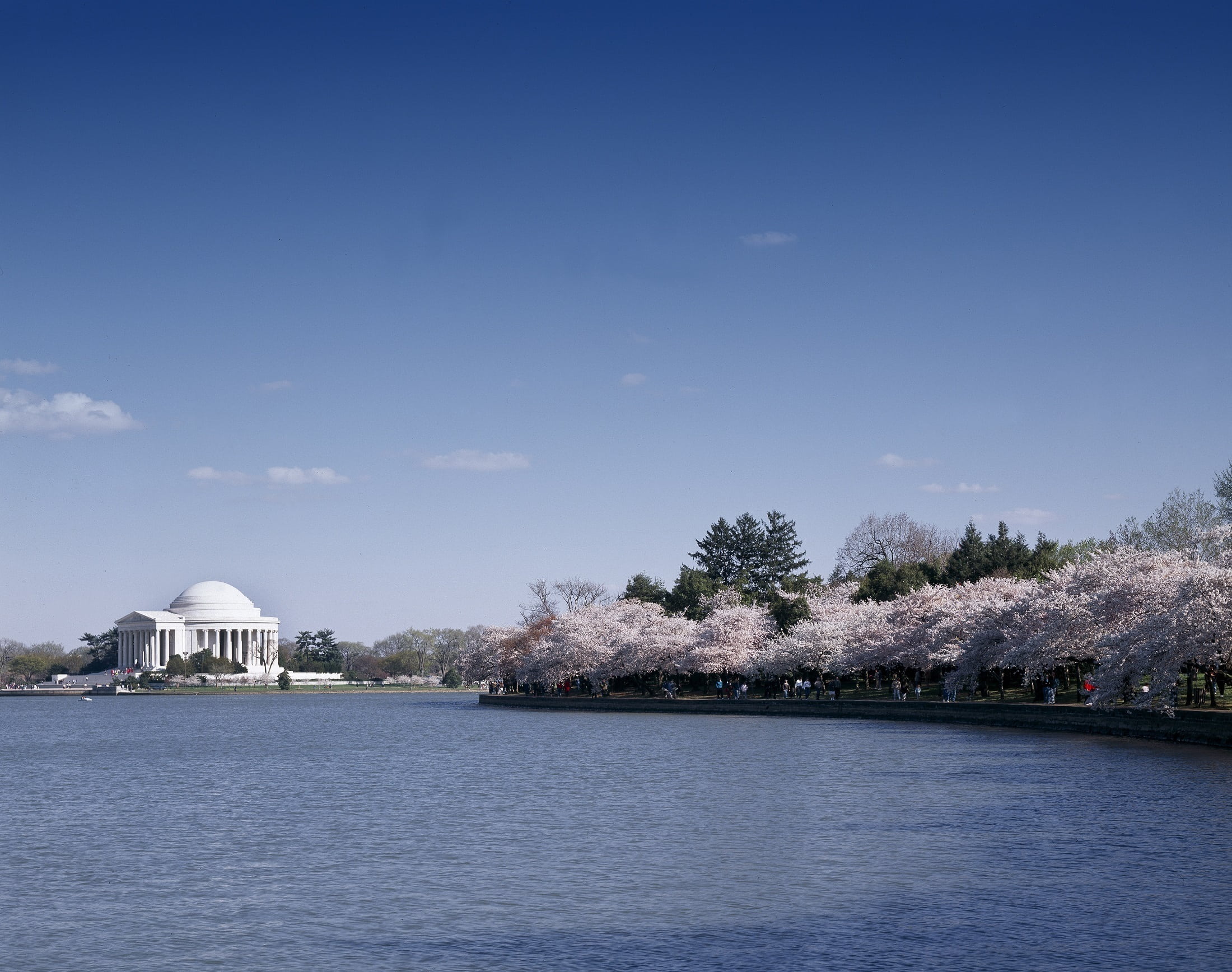 building exterior, no people, day, jefferson memorial, basin, built structure, trees, tourism, waterfront, 1080P, attraction, landmark, nature, scenic, HD Wallpaper