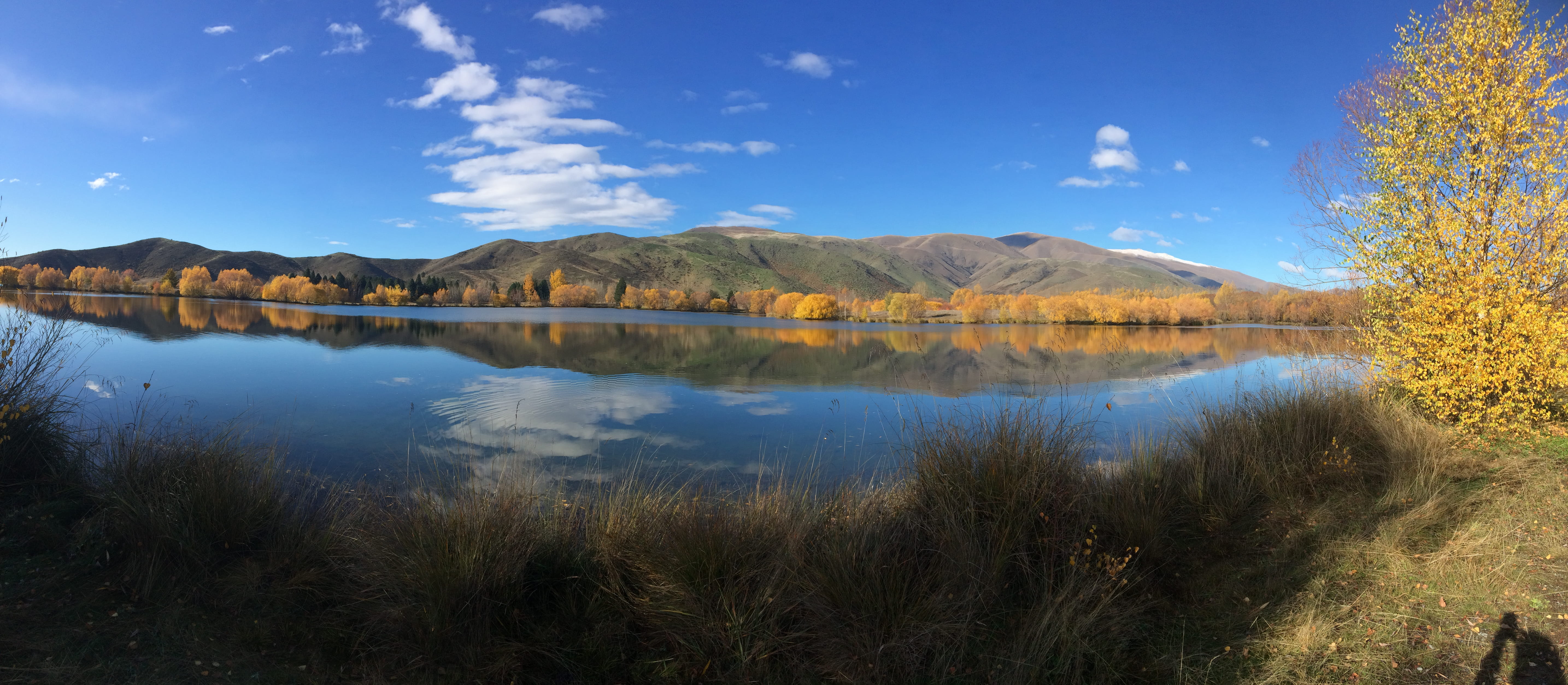 new zealand, tranquil scene, scenics - nature, scenery, cloud - sky, environment, mountain, forest, land, 5K, beauty in nature, outdoors, sky, plant, water, HD Wallpaper