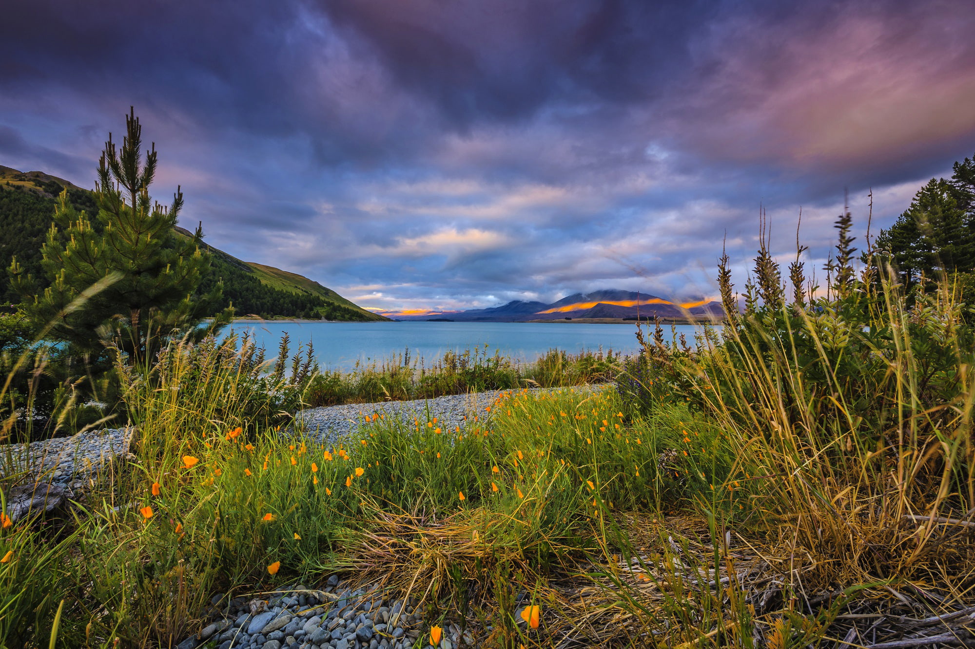 grass, lake, Lake Tekapo, clouds, mountains, 1080P, shore, New Zealand, pebbles, HD Wallpaper