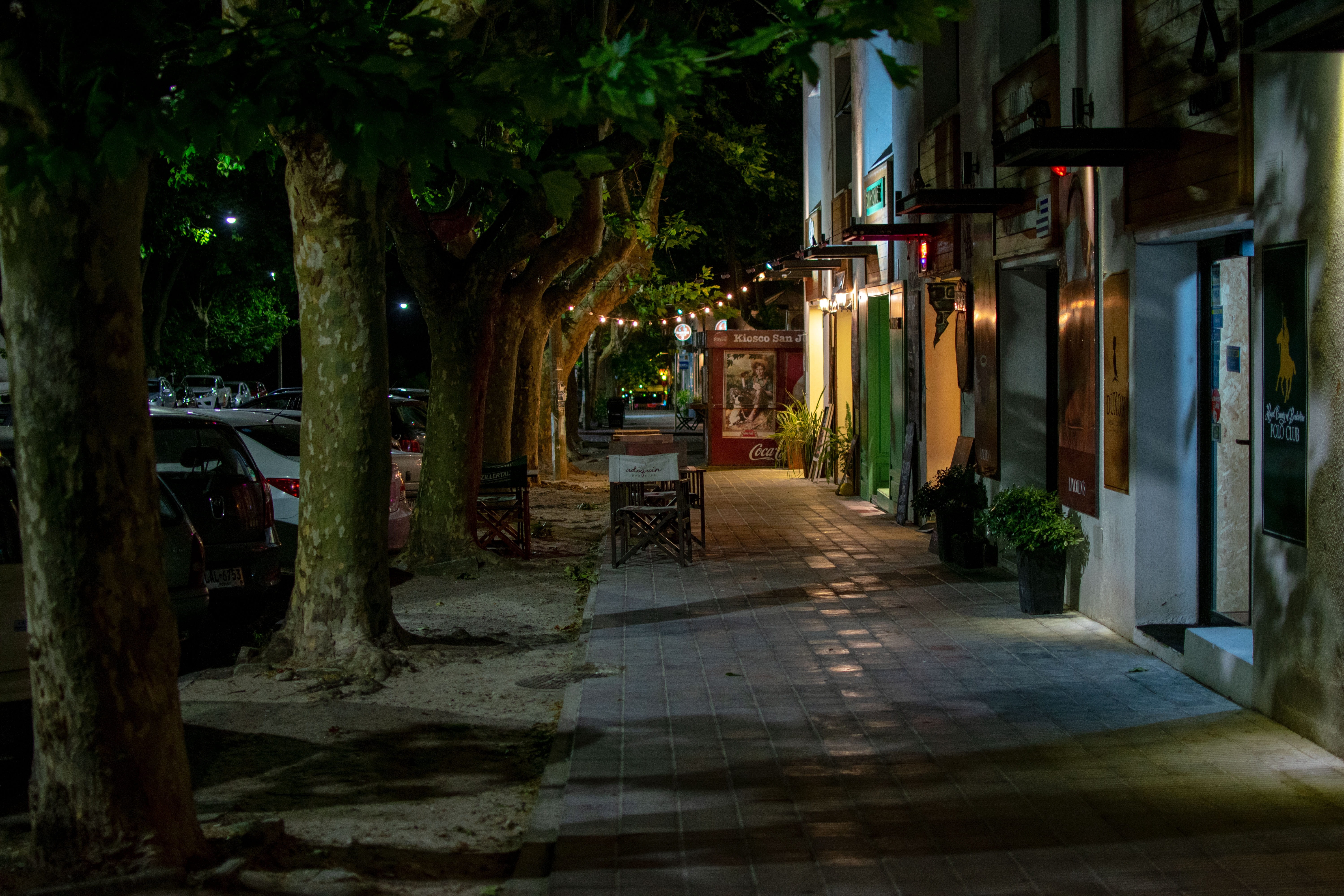 day, paving stone, plant, colonia, empty, seat, residential district, 5K, building exterior, road, building, architecture, built structure, uruguay, tree, HD Wallpaper