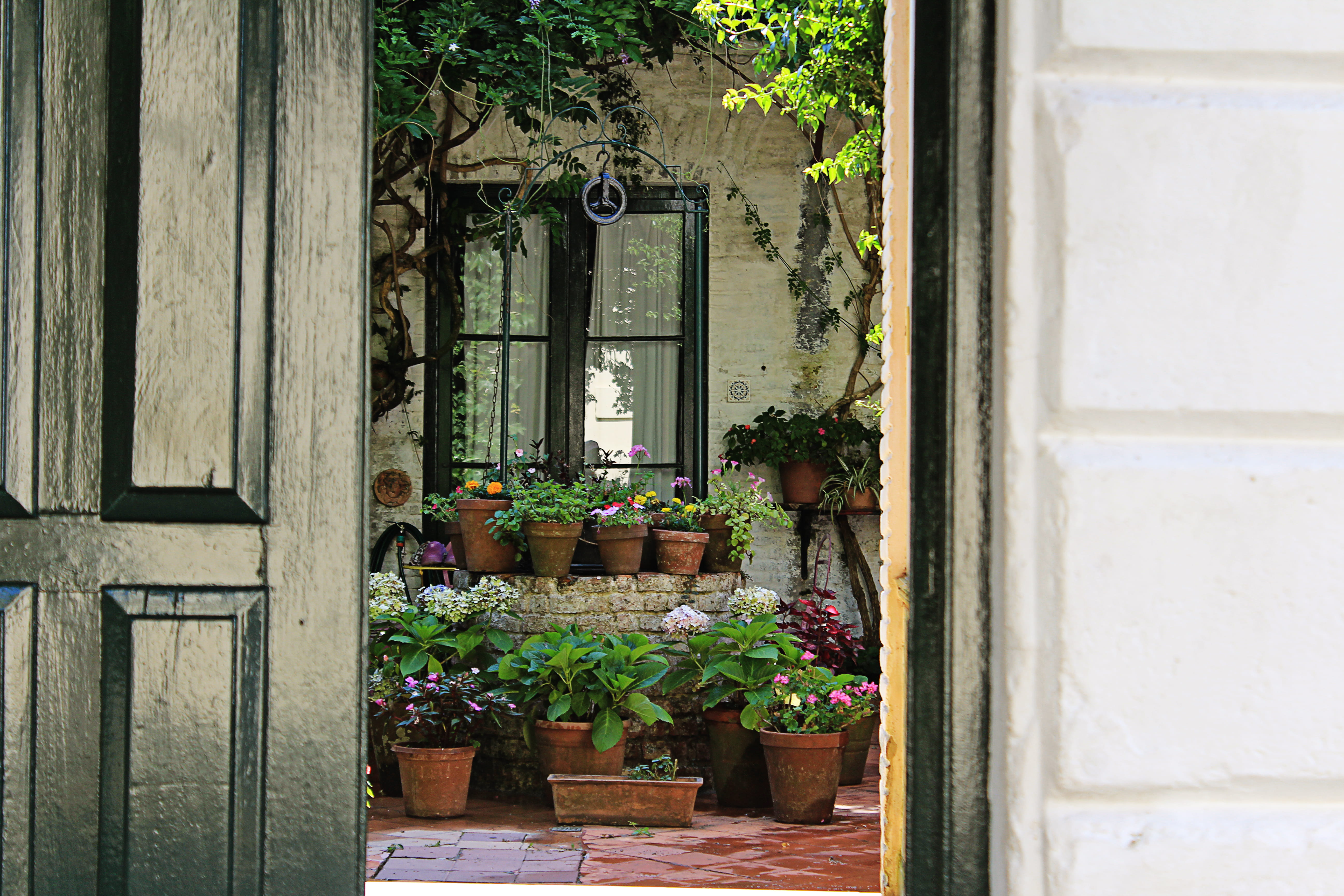 entrance, nature, backyard, plant, door, wood - material, brick, garden, house, foliage, potted plant, green, flower, color, 5K, plant part, colonia del sacramento, HD Wallpaper