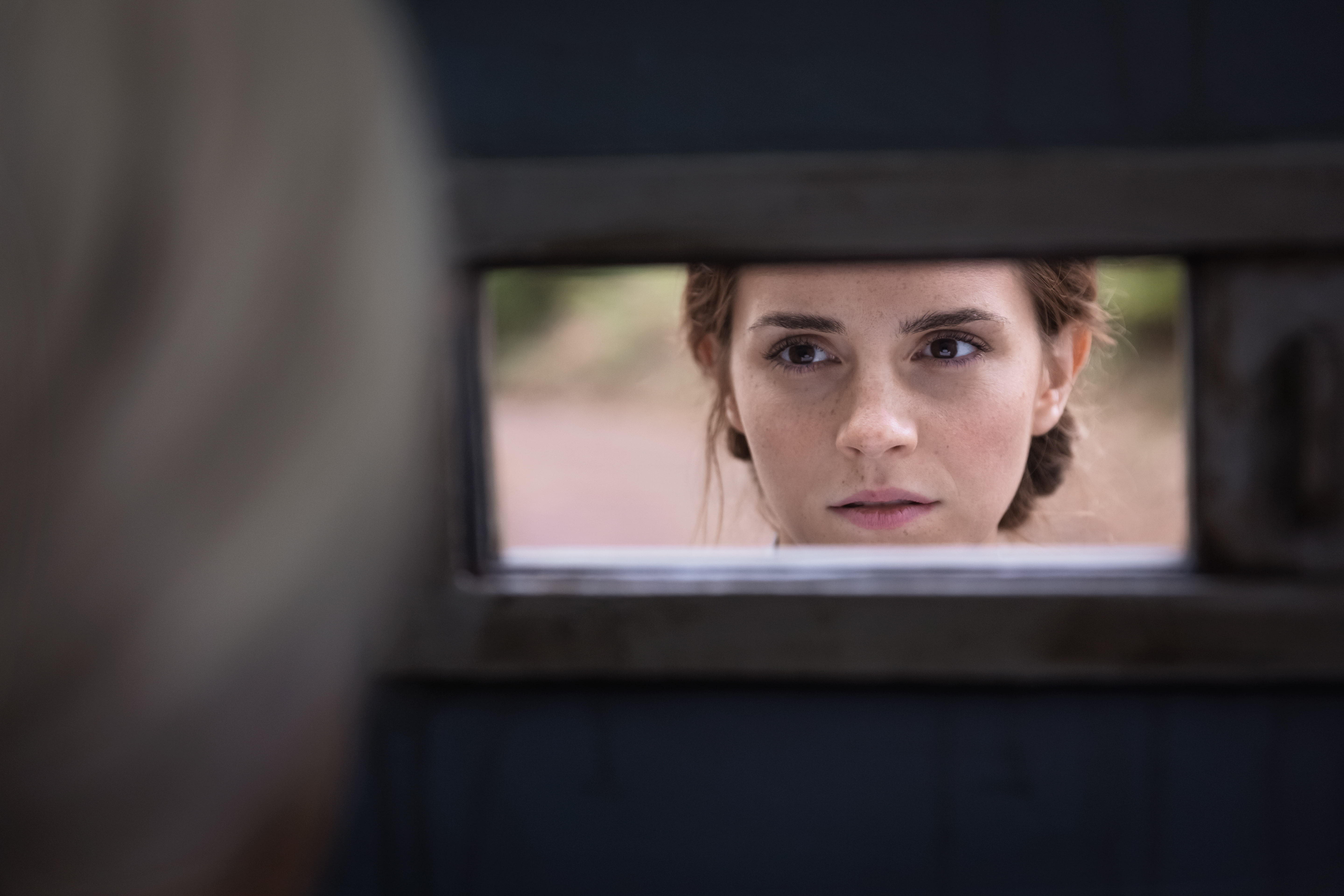 5K, Movie, Emma Watson, Colonia, HD Wallpaper