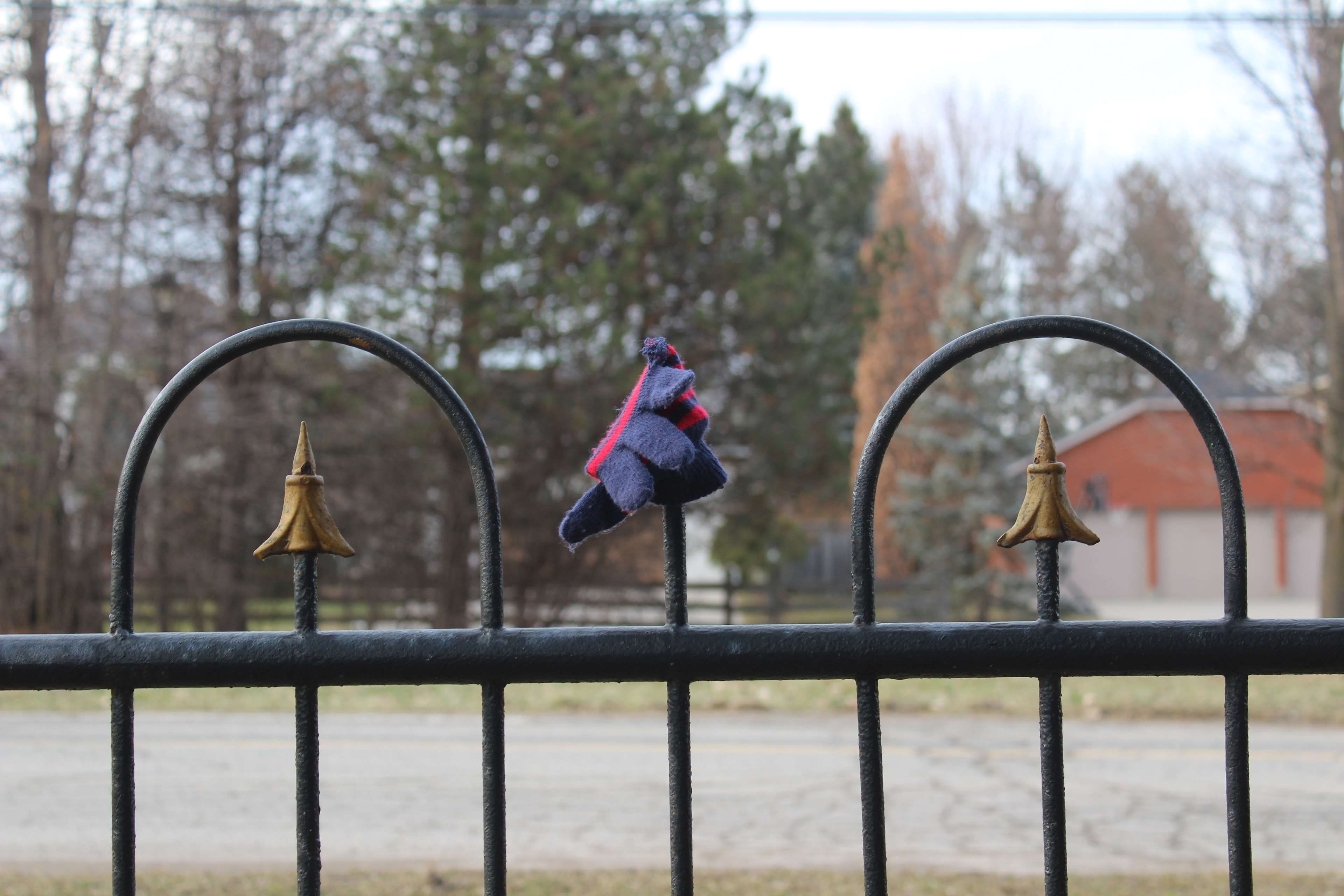 forgotten, focused, day, winter clothes, nature, childhood, women, barrier, child, gates, winter gear, outdoors, plant, real people, 4K, railing, community, HD Wallpaper